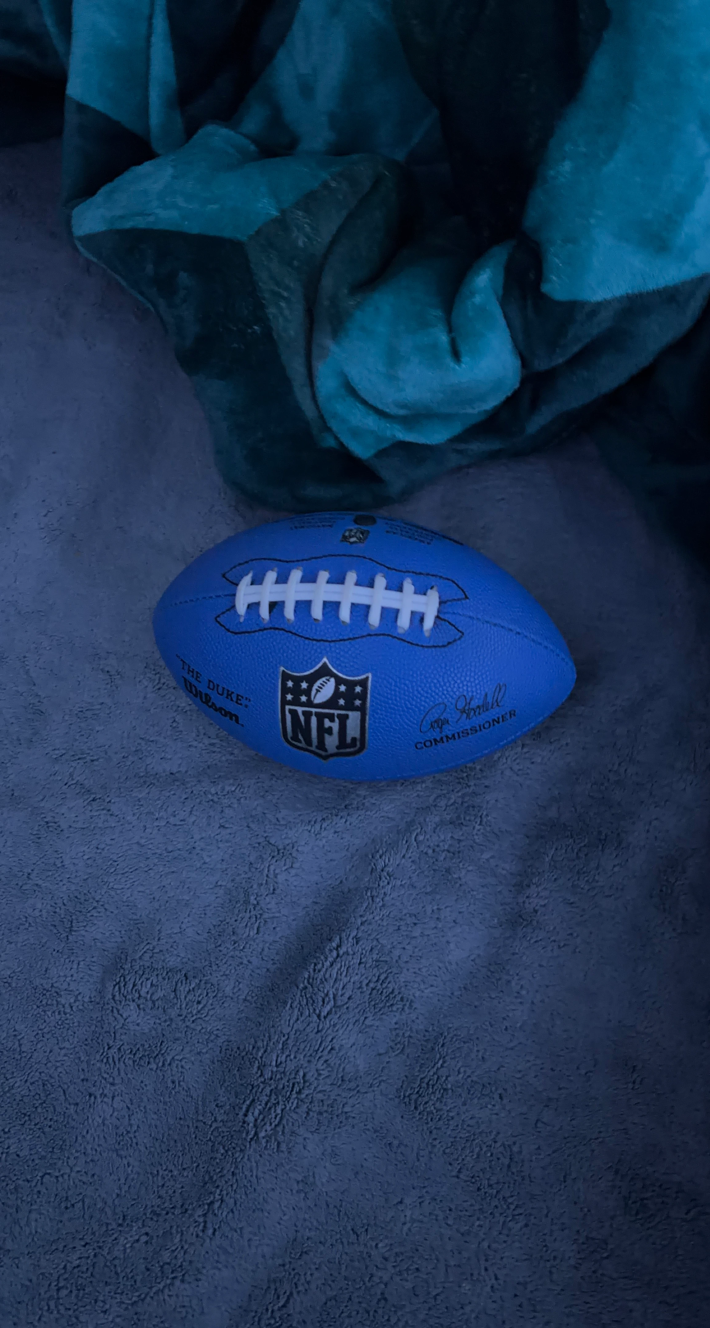 Wilson "The Duke" NFL Football