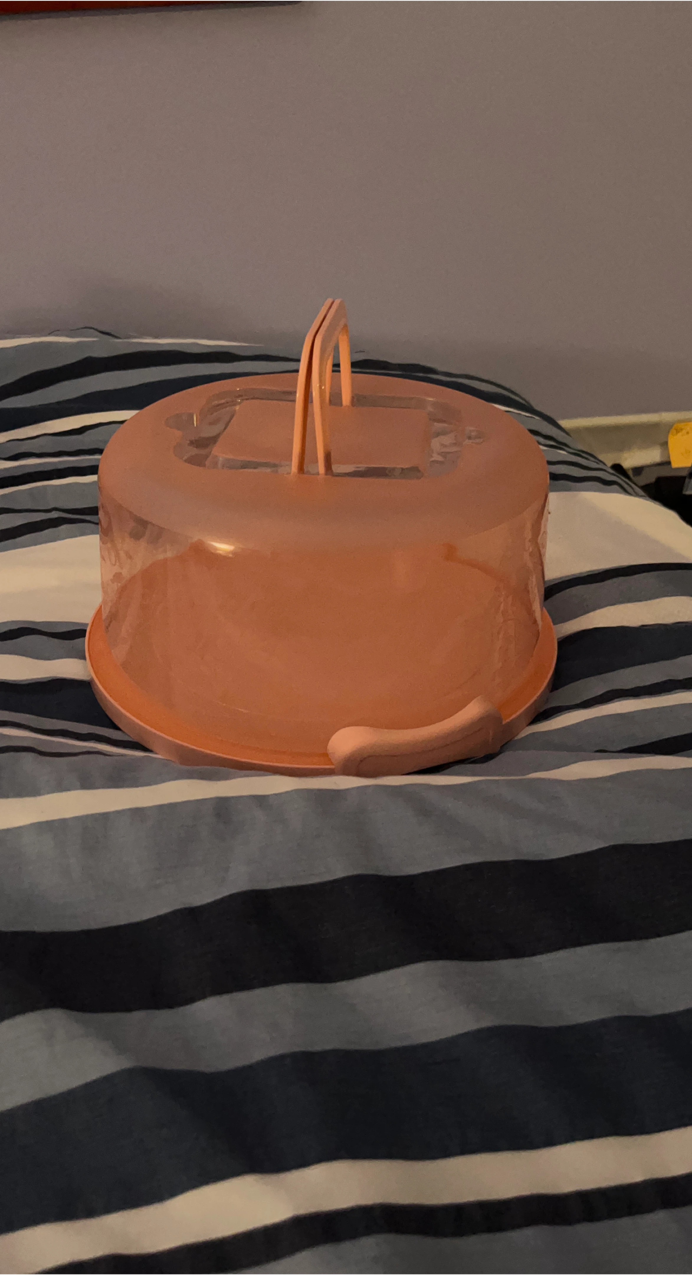 Pink Plastic Cake Carrier with Handle and cake turntable