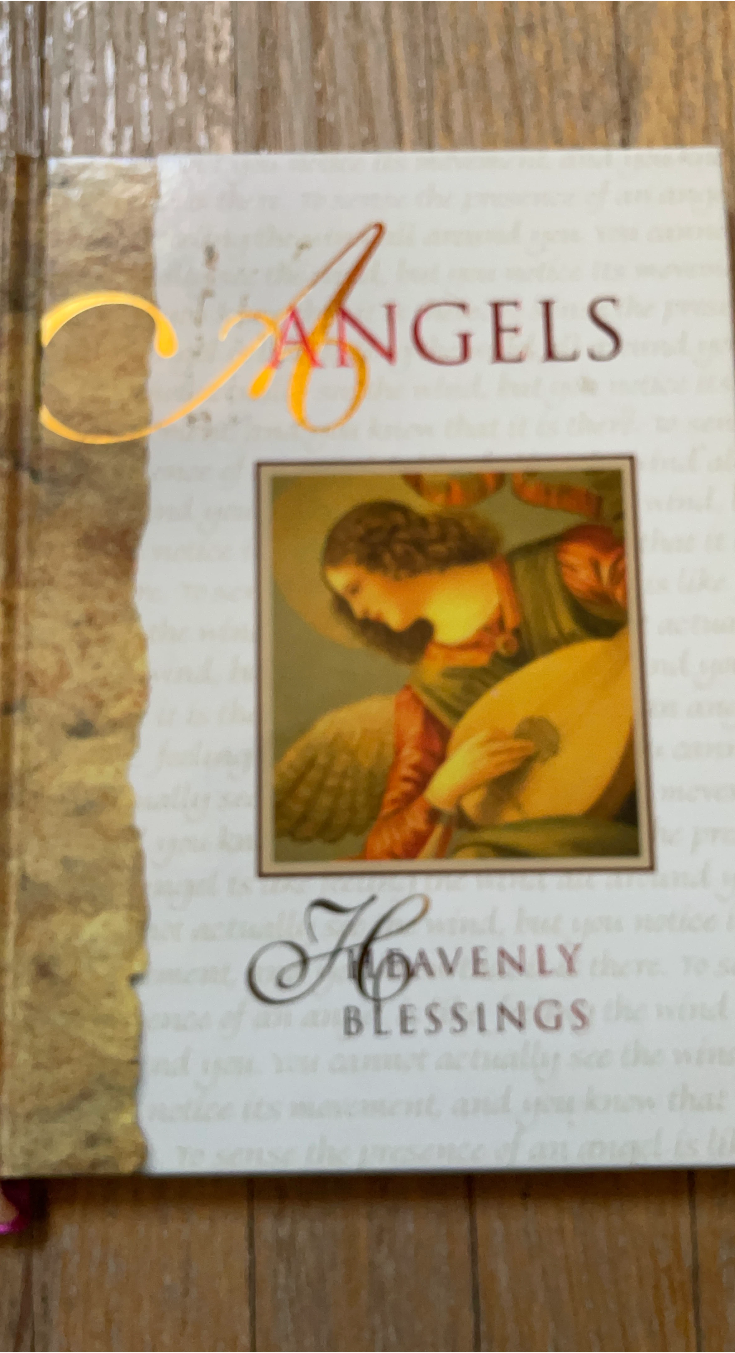 🏆Angels Heavenly Blessings Book