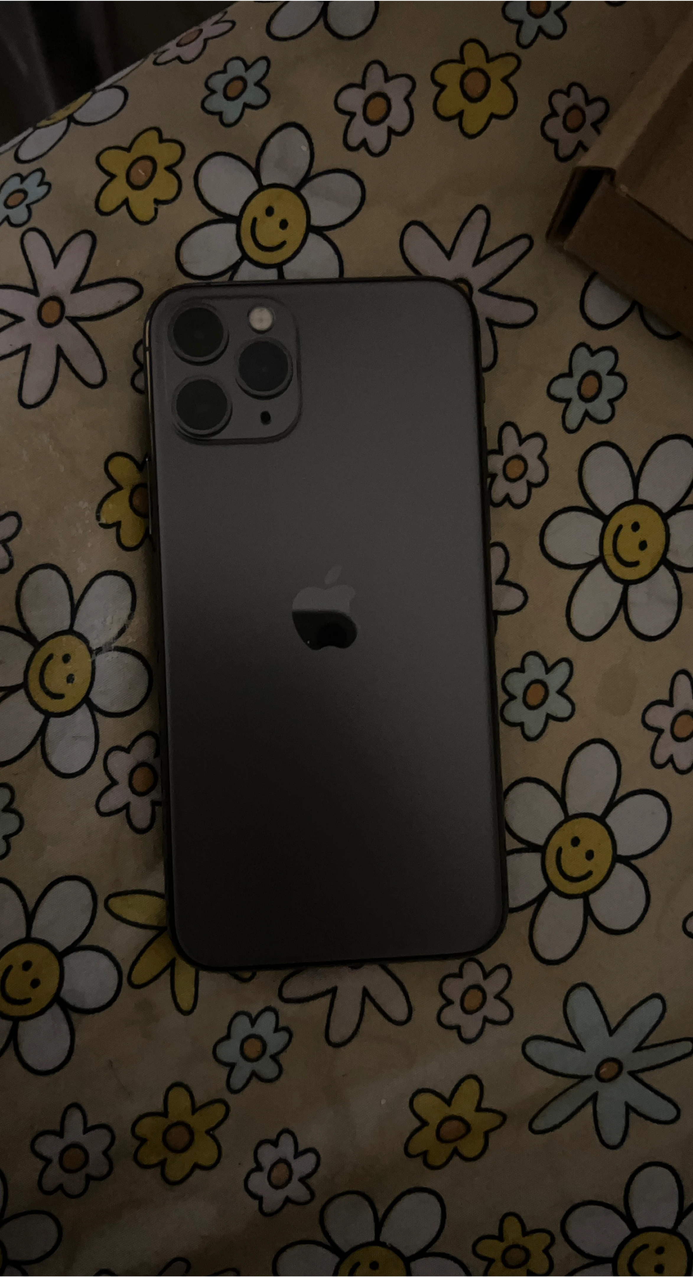 Apple iPhone 11 Pro