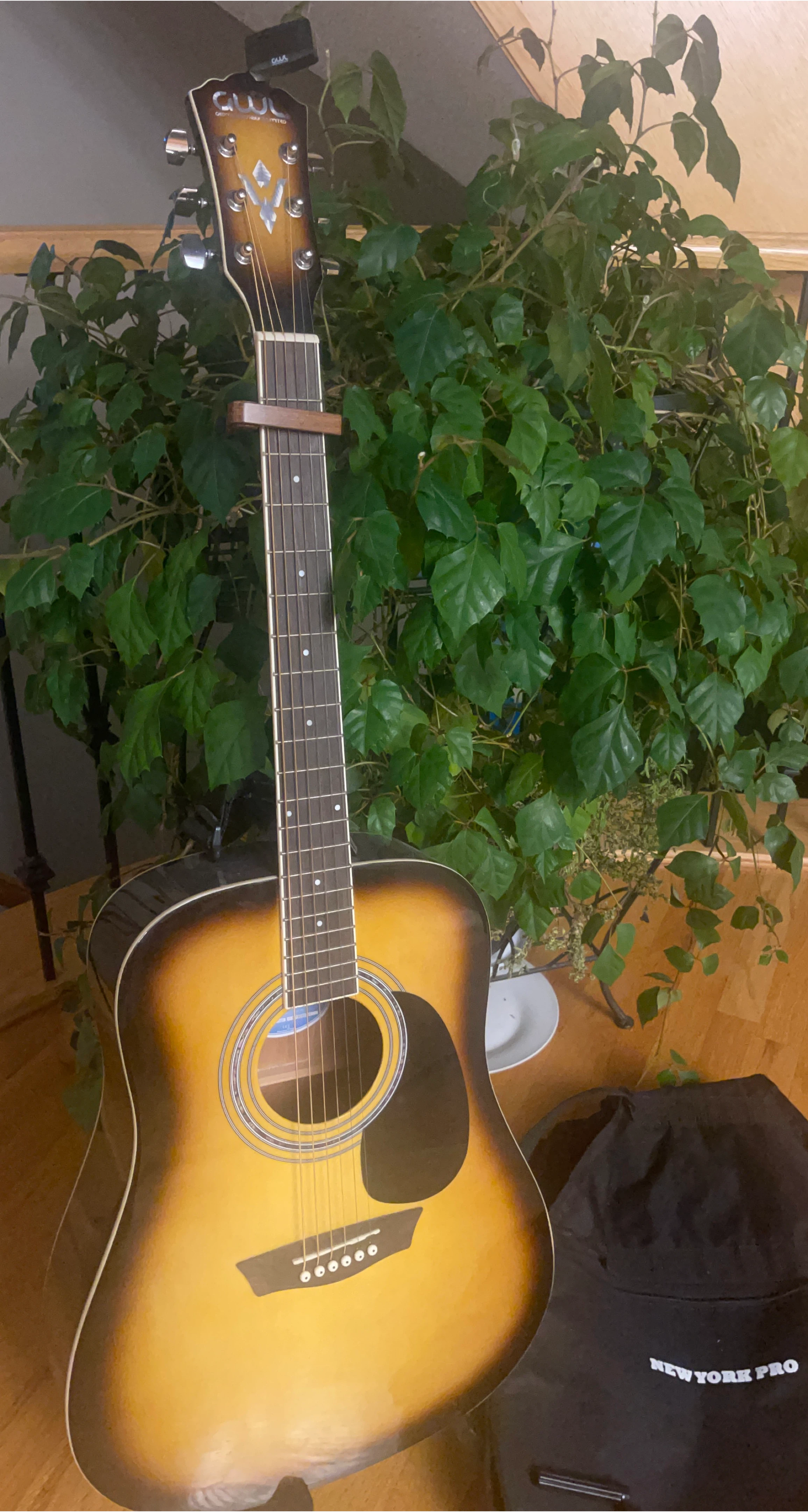 GWL George Washburn Limited Acoustic Guitar
