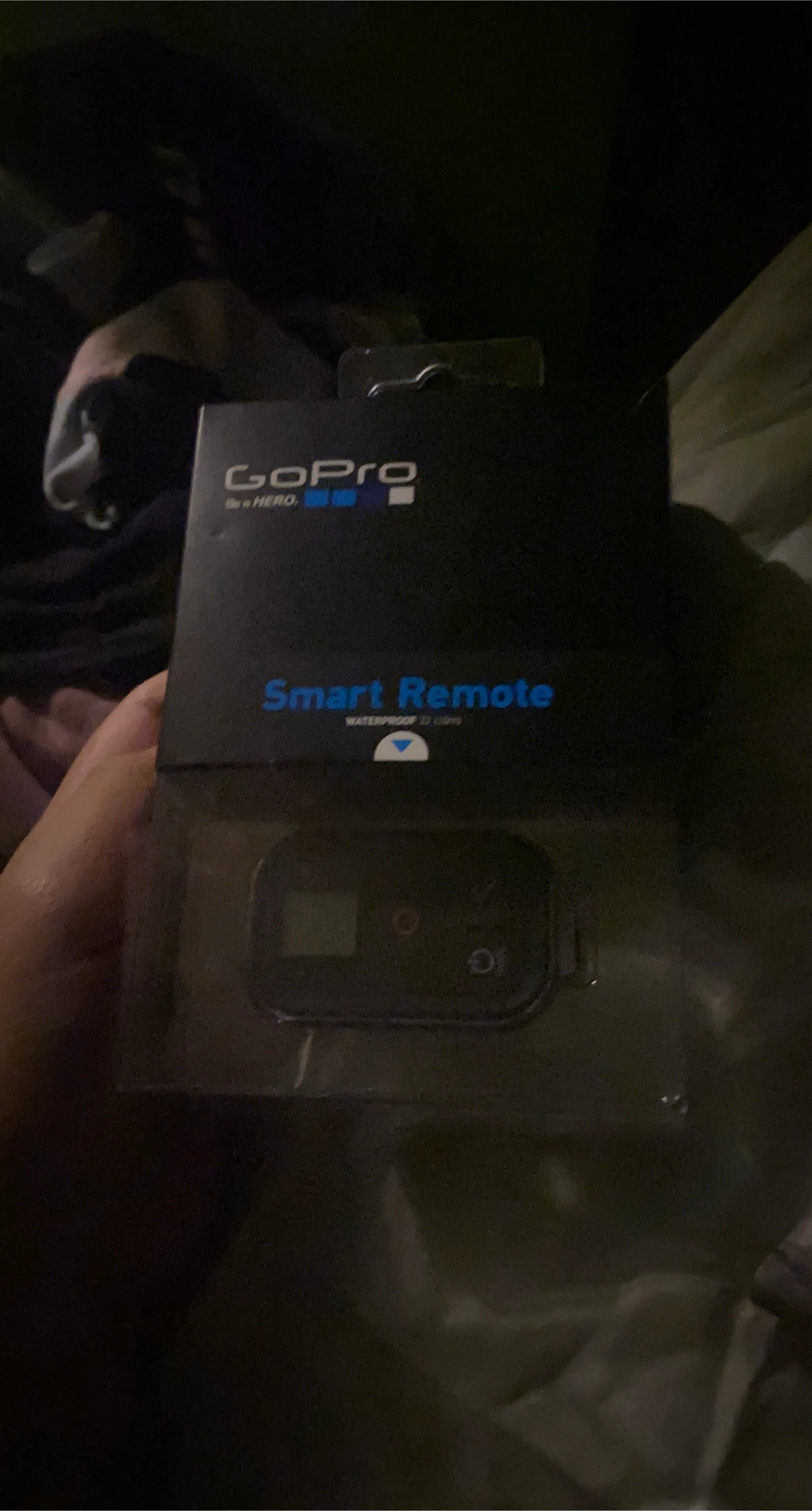 GoPro Smart Remote
