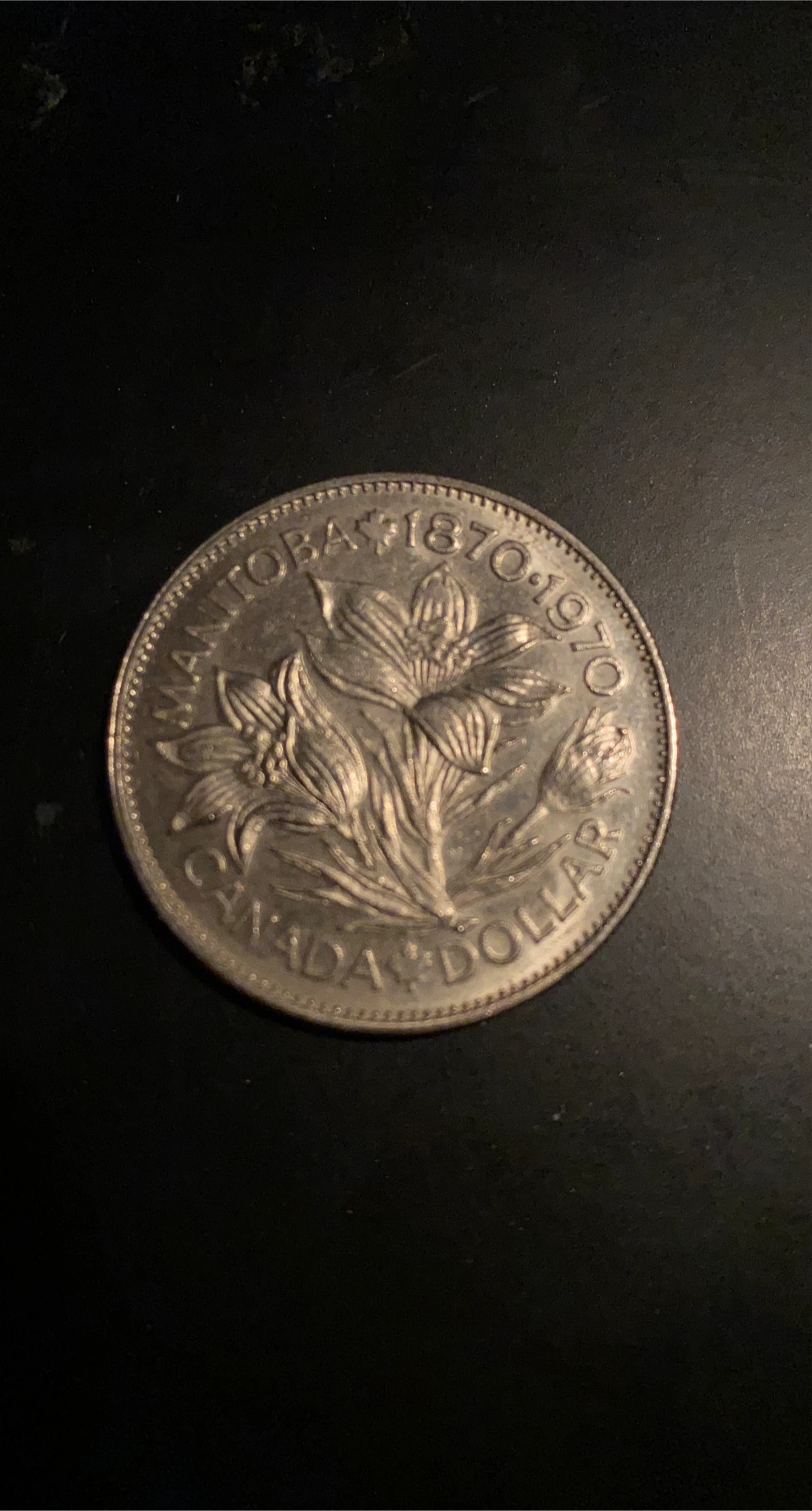 1970 Canada Manitoba Dollar Coin