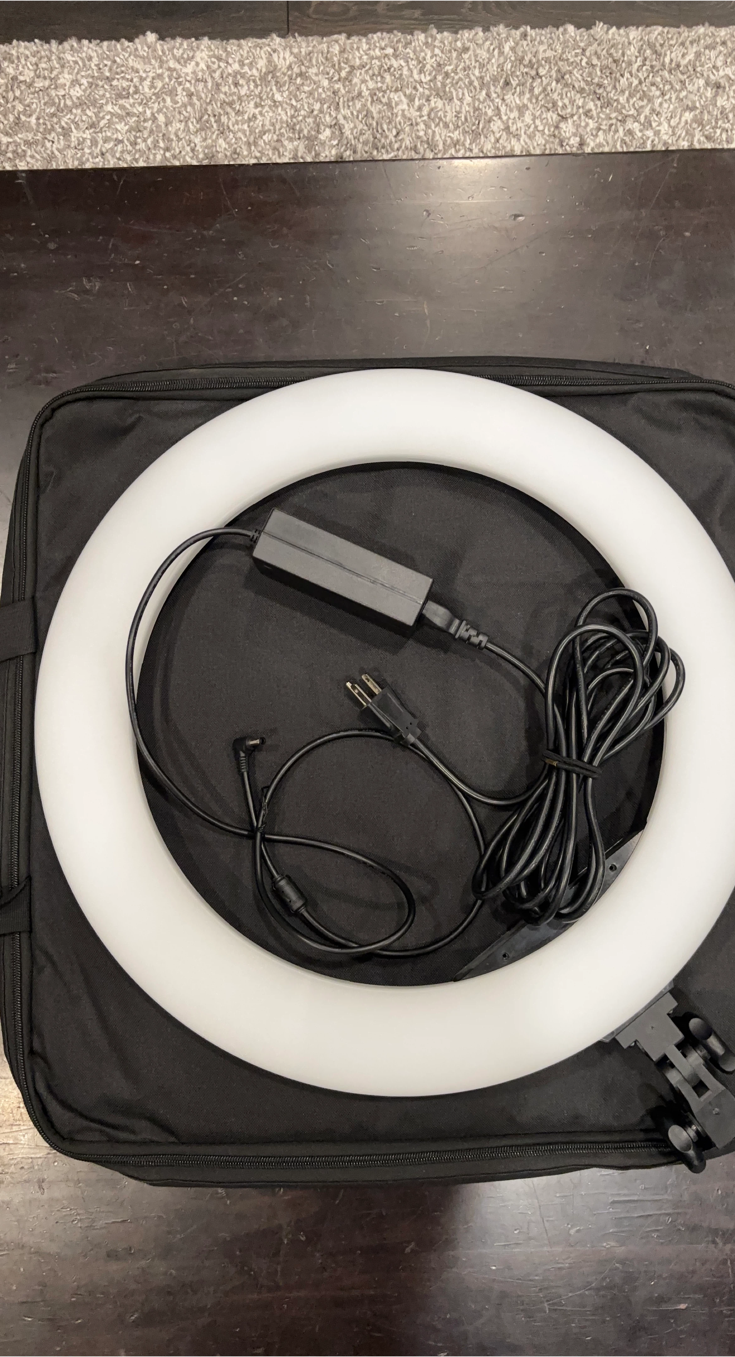 19” Ring Light with Carrying Case 🏆