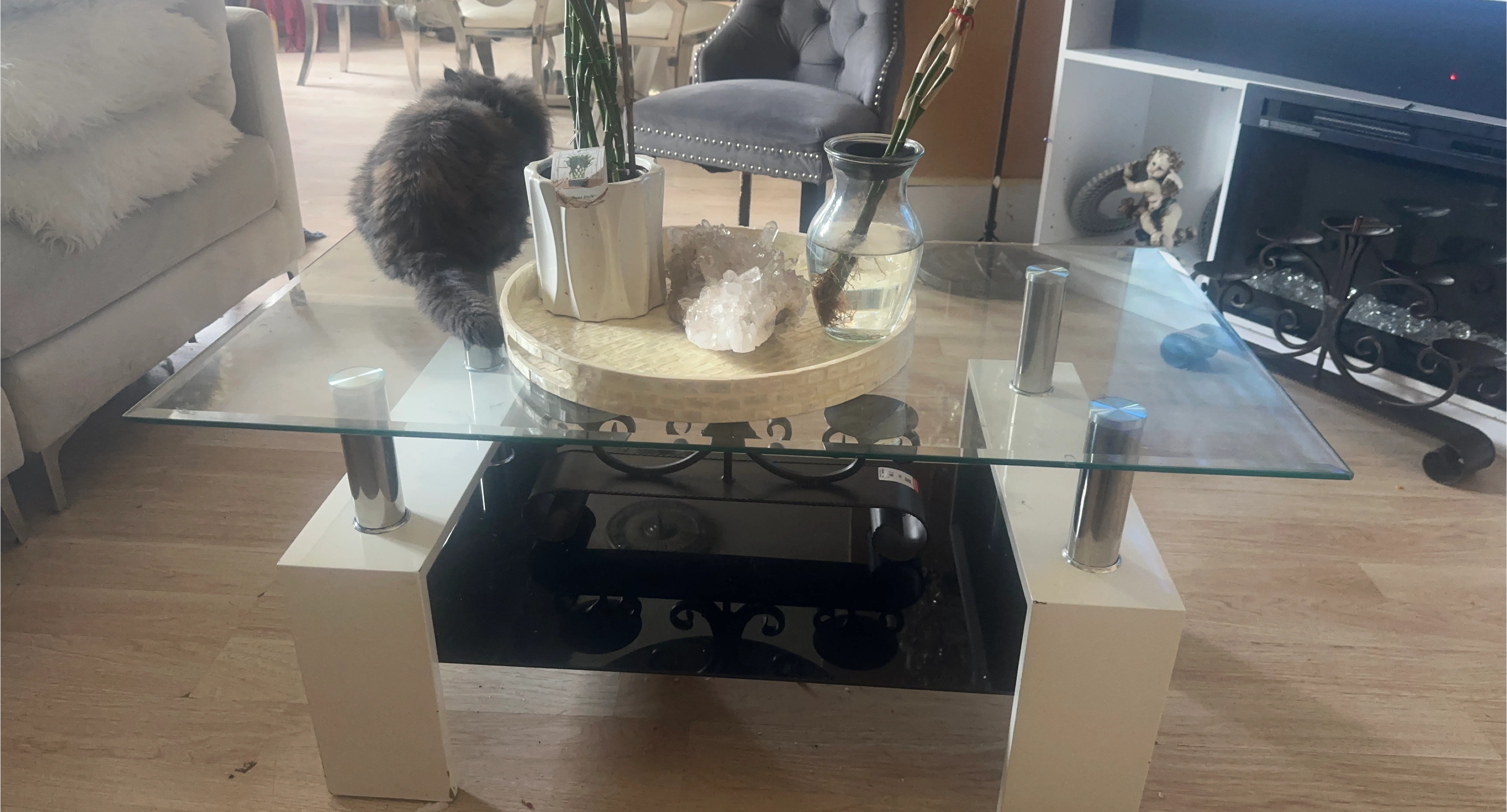 Glass Top Coffee Table with White Base