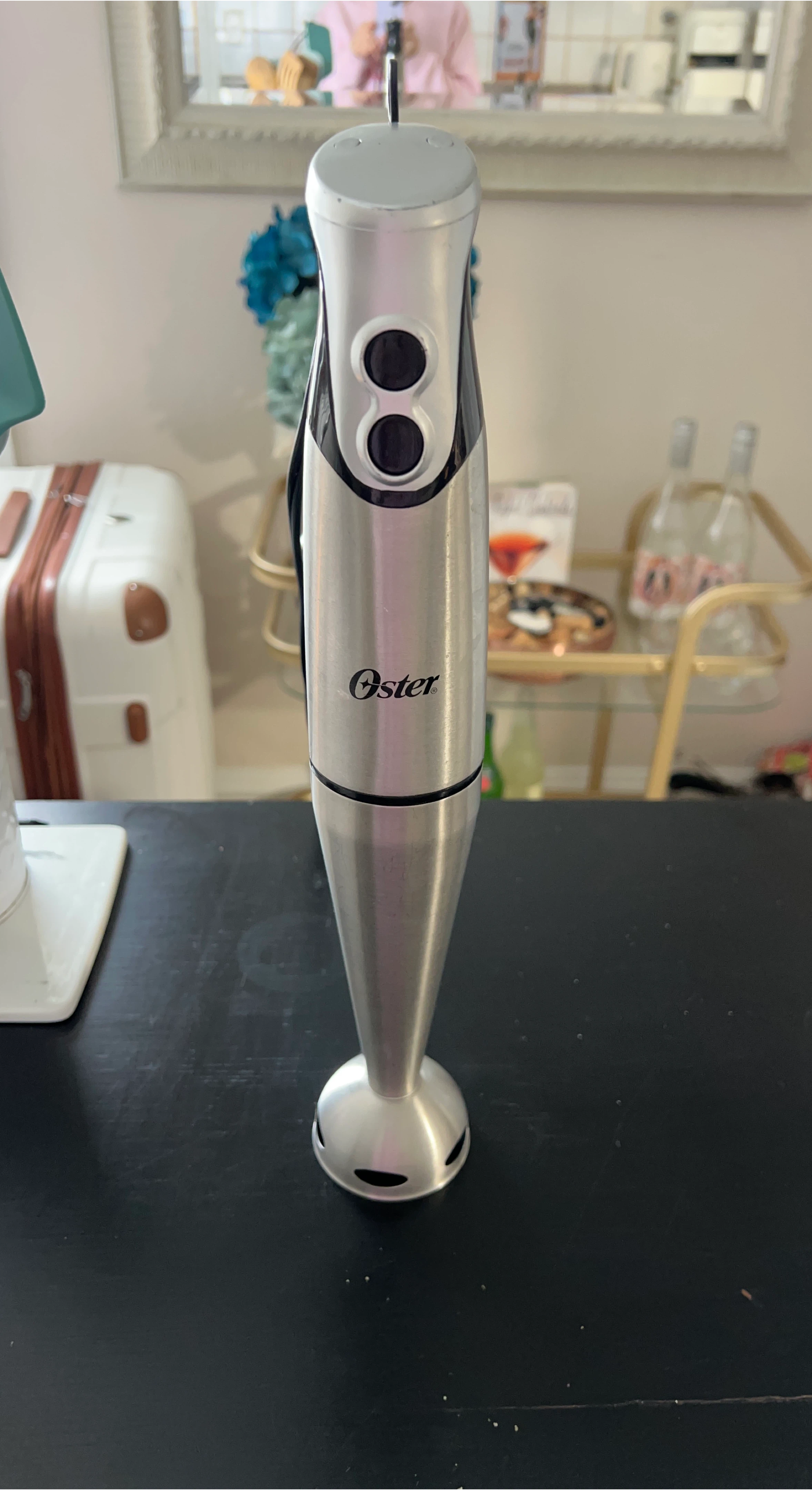 Oster Immersion Blender