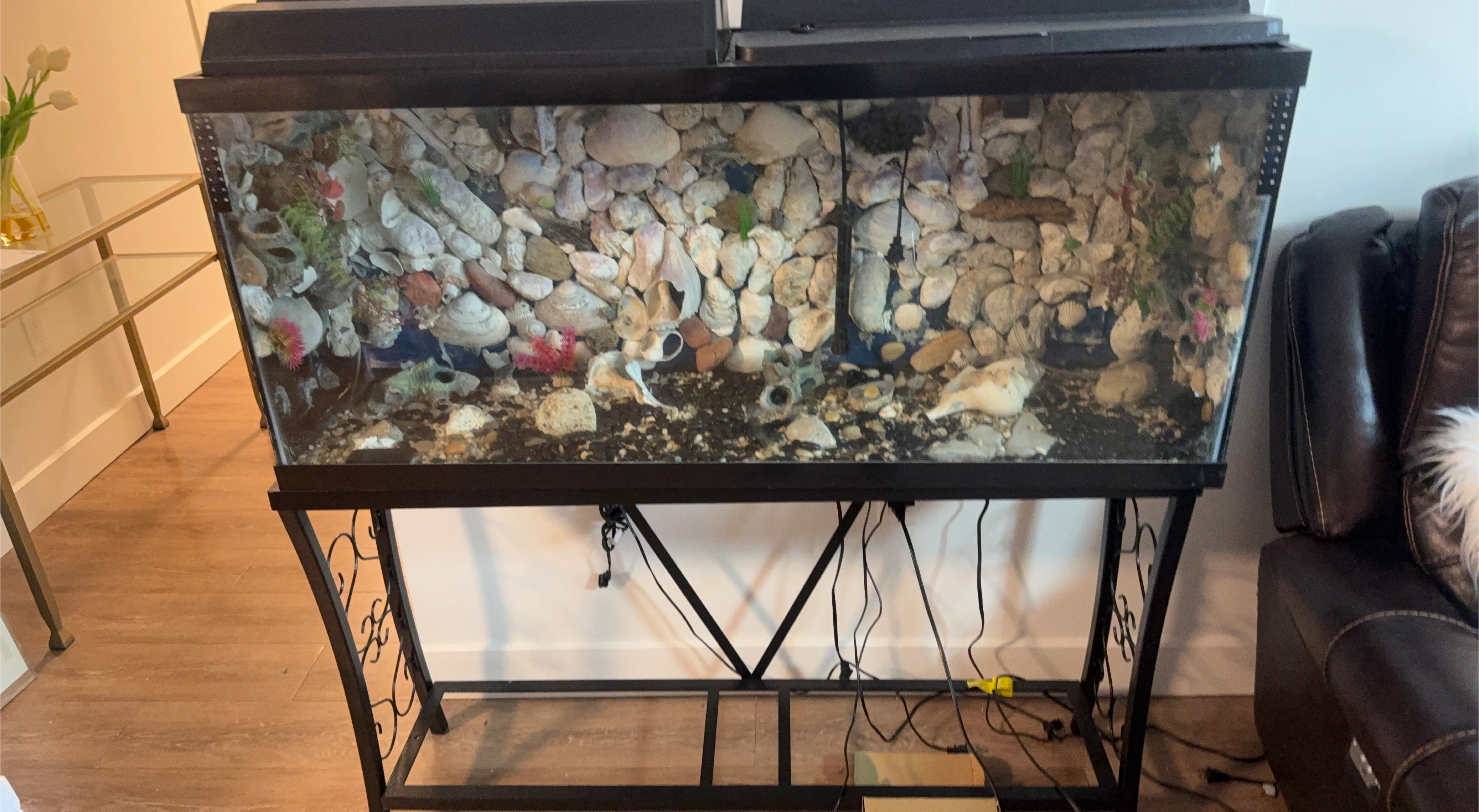 Large Aquarium with Stand