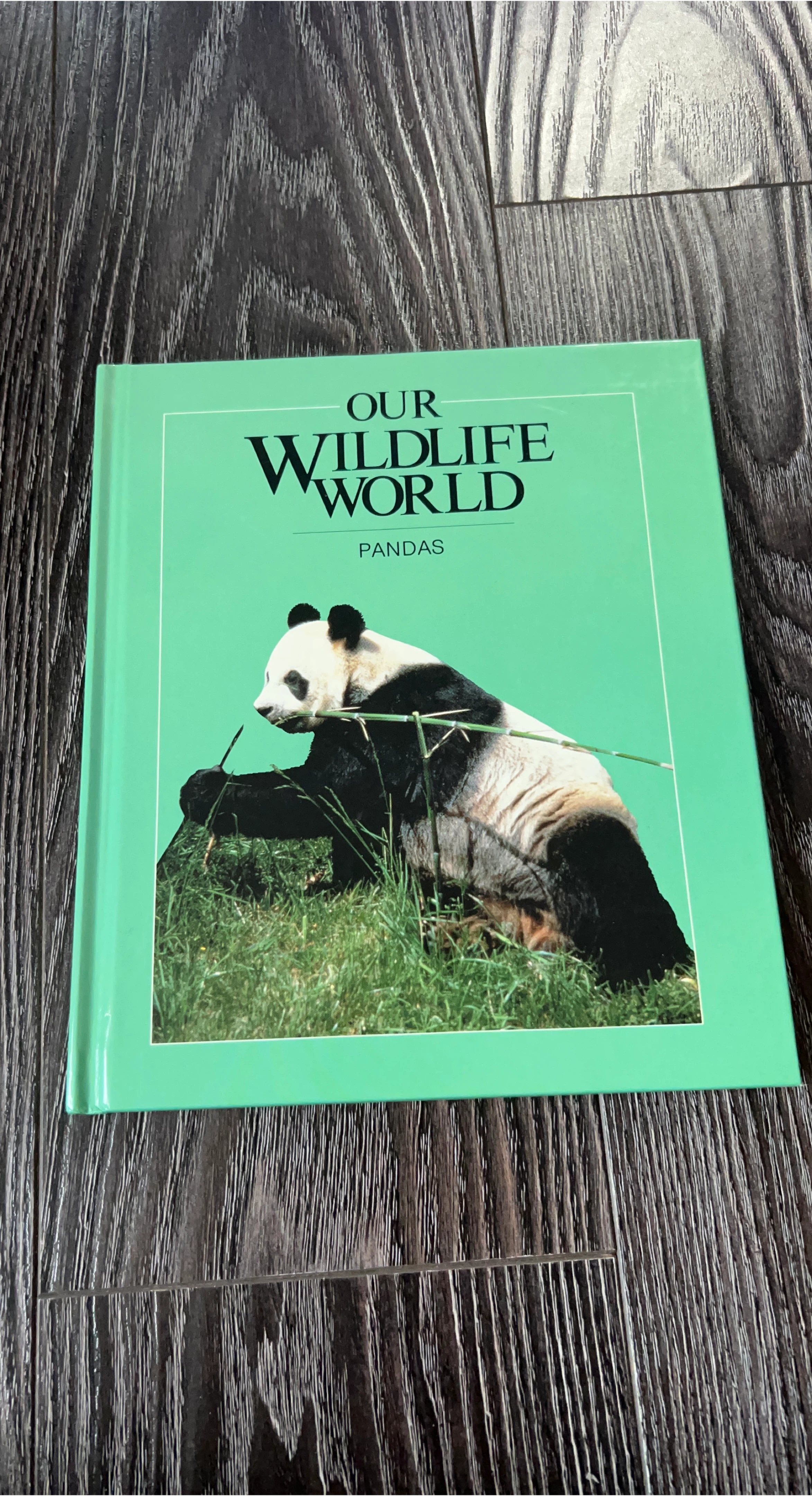 Our Wildlife World: Pandas Book
