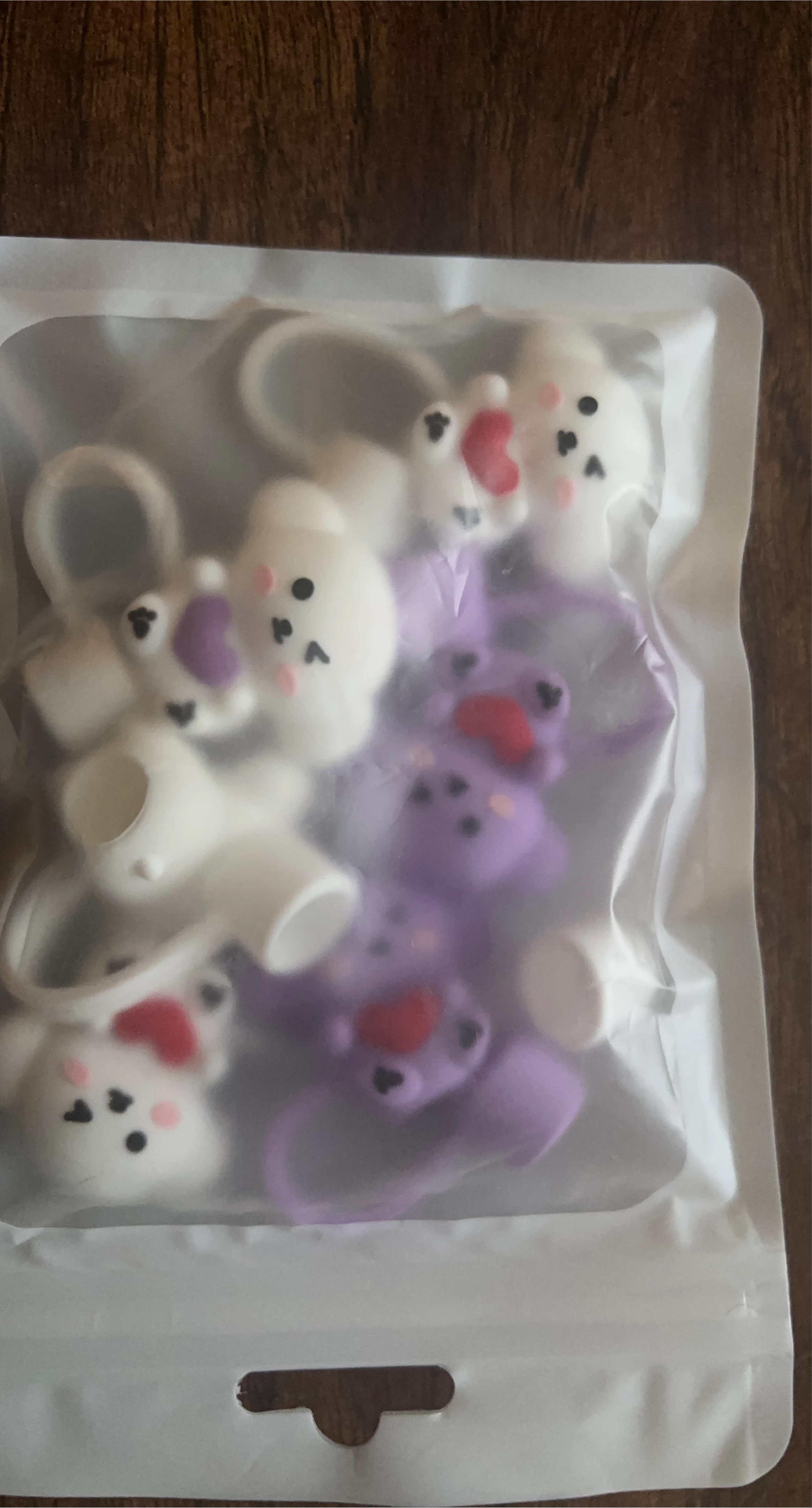 Cute Bear Case Keychains