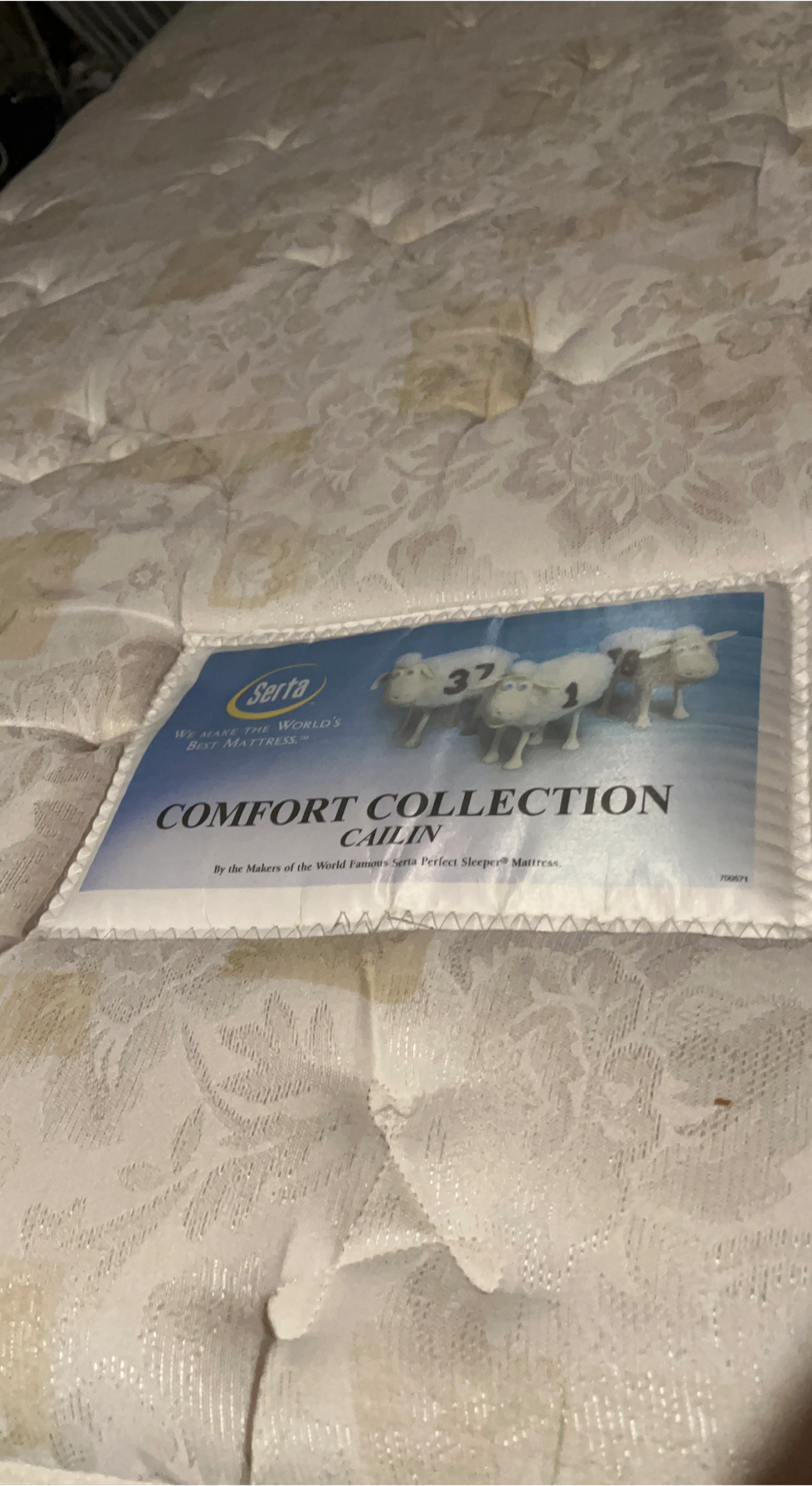 Serta Comfort Collection Cailin Mattress