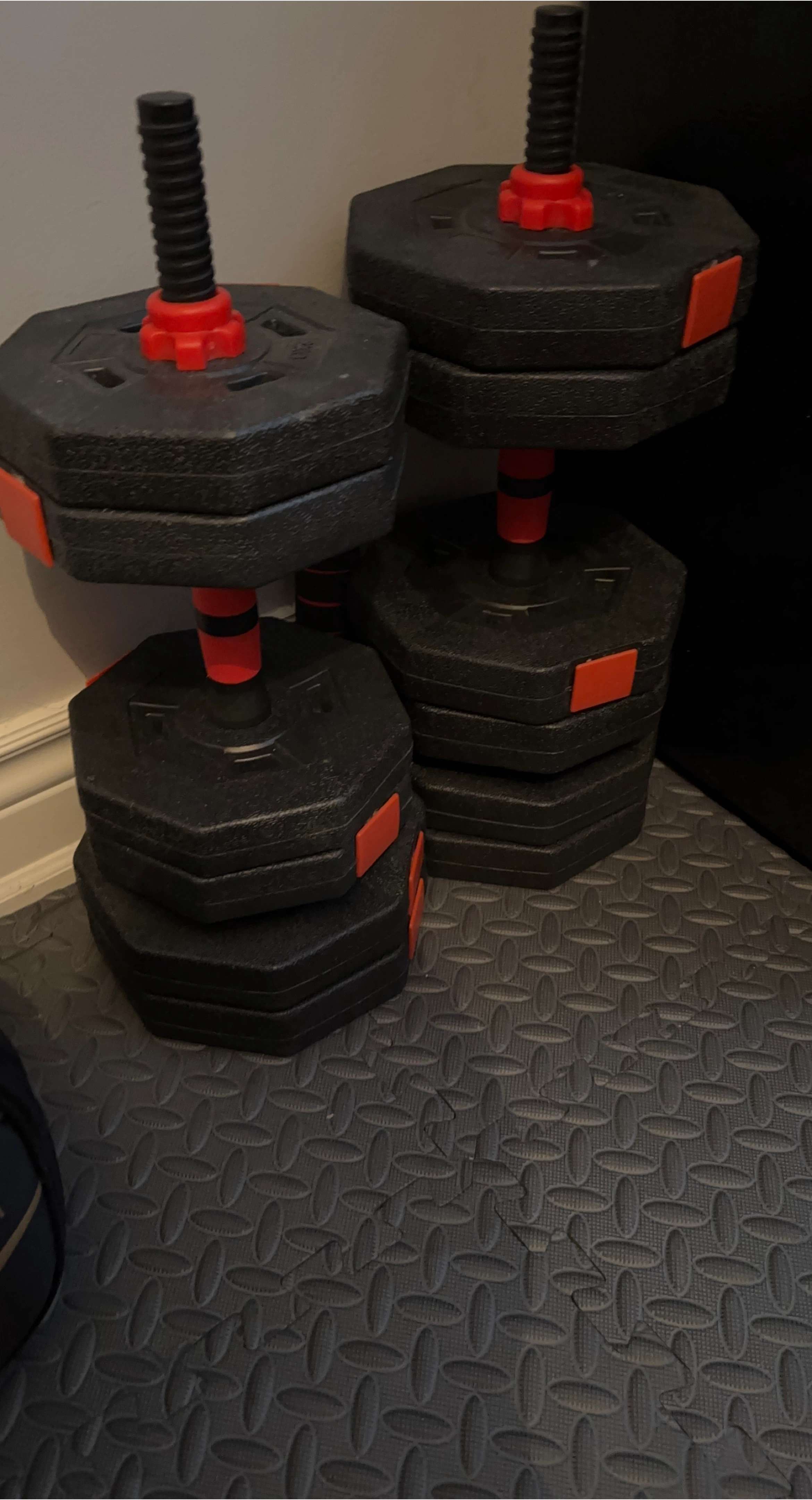 Adjustable Dumbbells Set 66 lbs