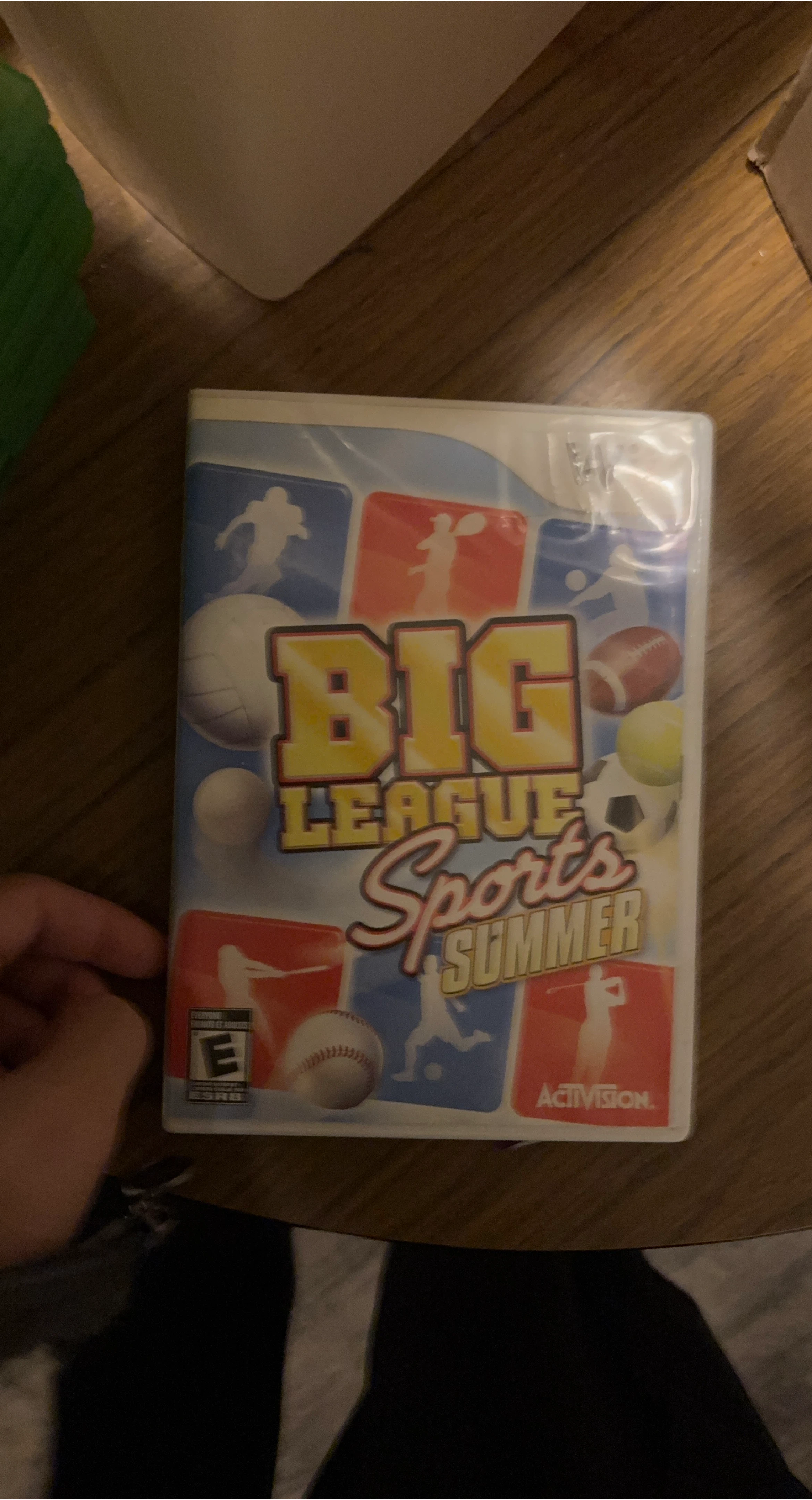 Big League Sports Summer Video Game