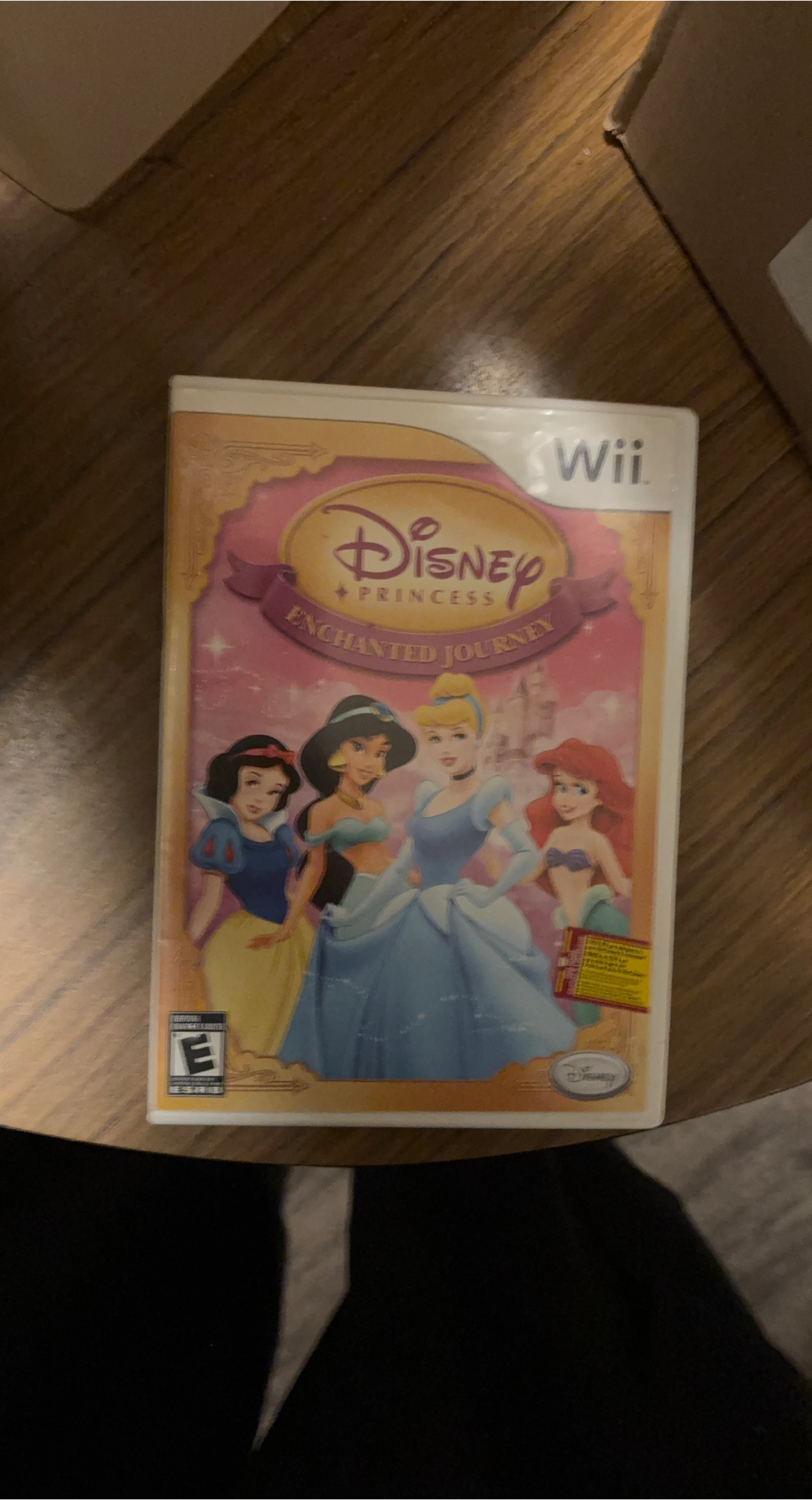 Nintendo Wii Disney Princess Enchanted Journey Video Game