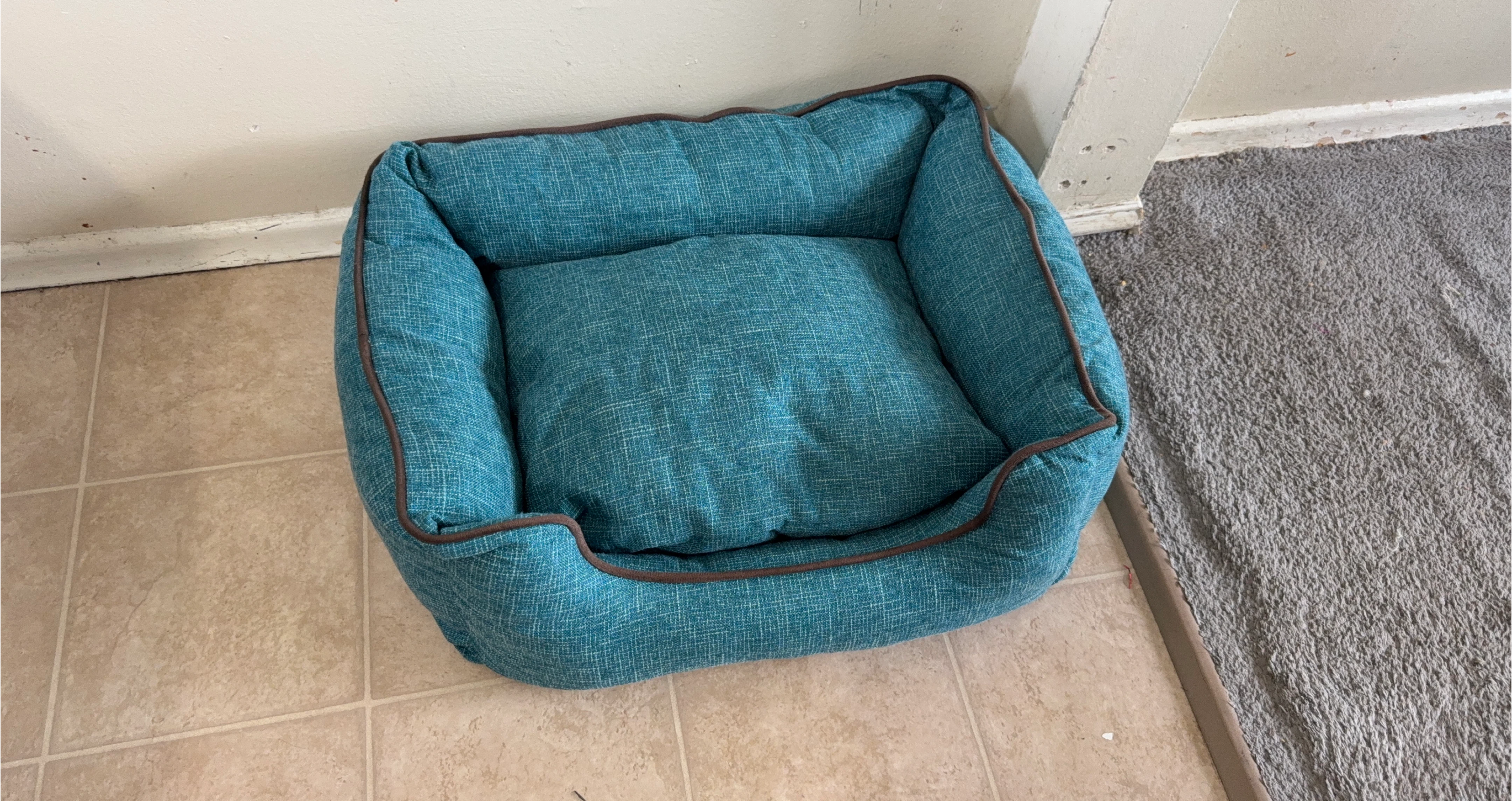 Teal Pet Bed with Brown Piping