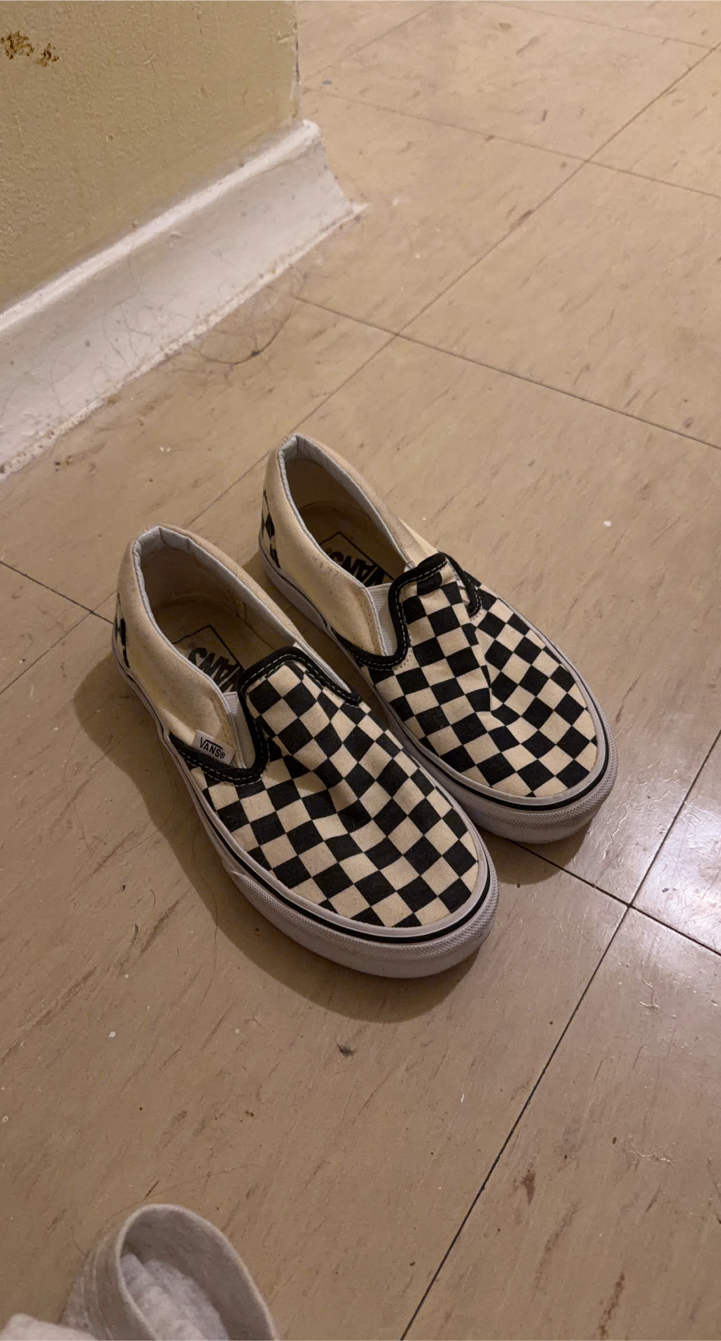 Vans Checkerboard Slip-On Shoes