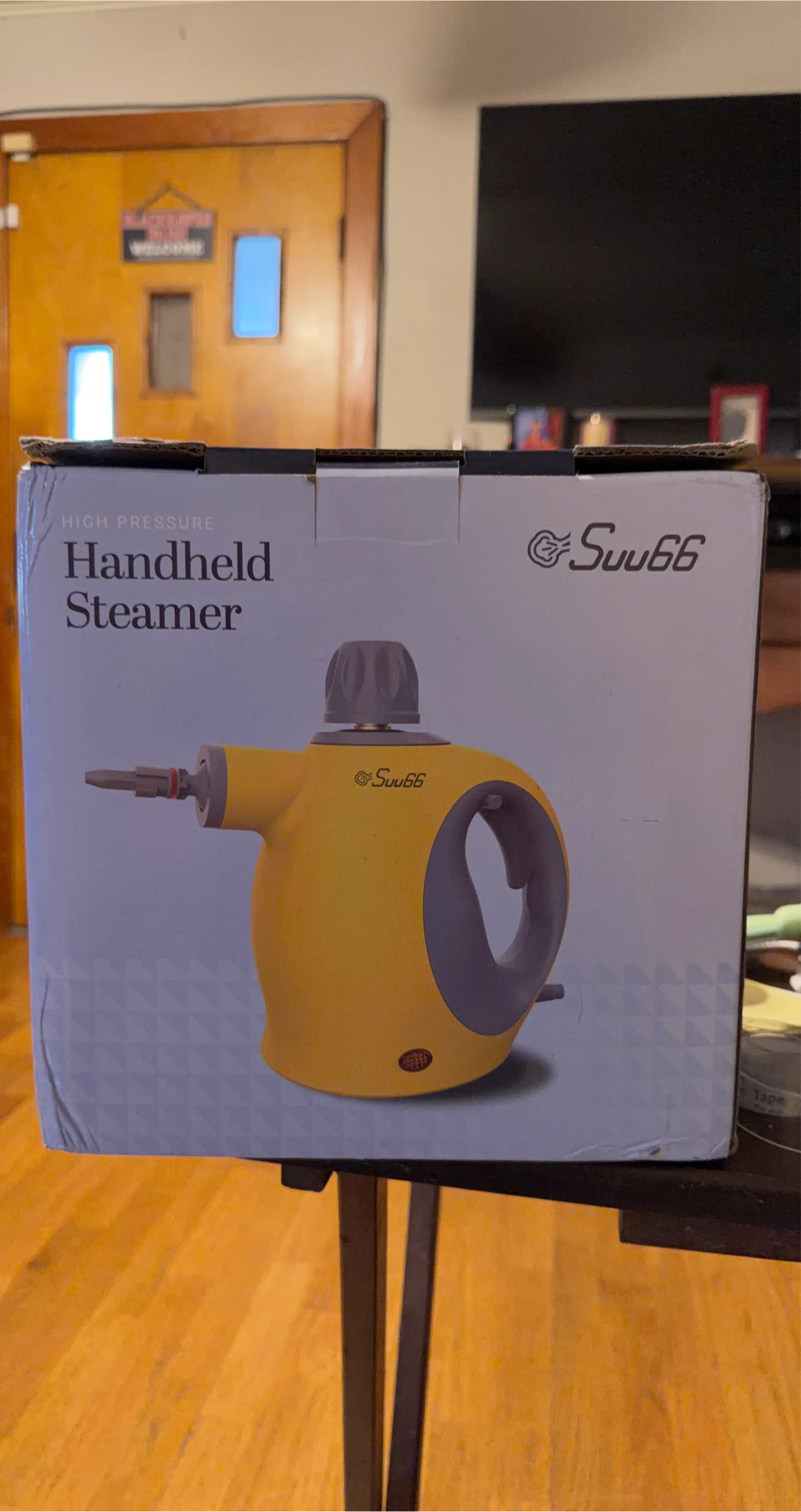 High Pressure Handheld Steamer🏆