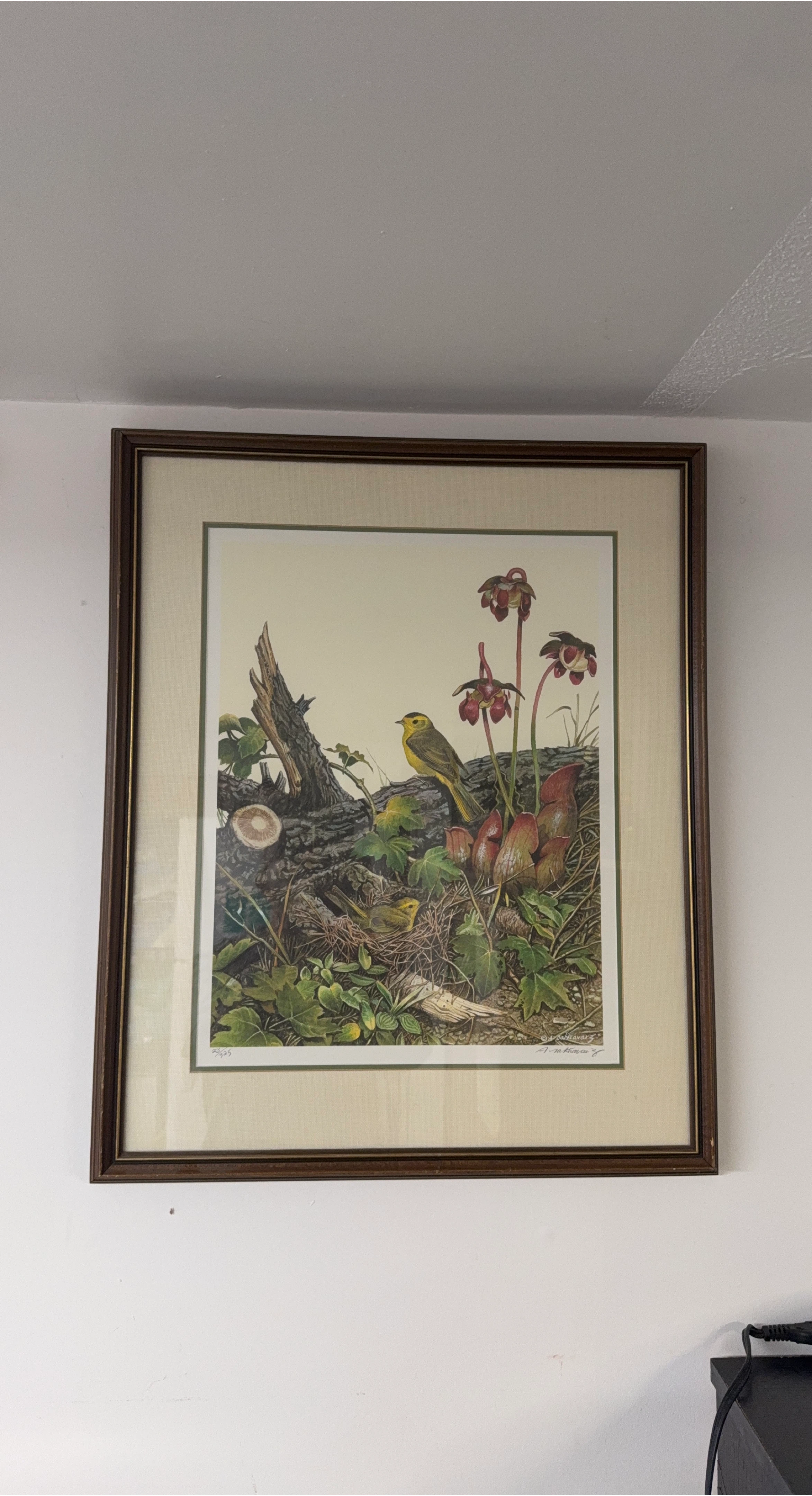 Framed Bird and Pitcher Plant Art Print