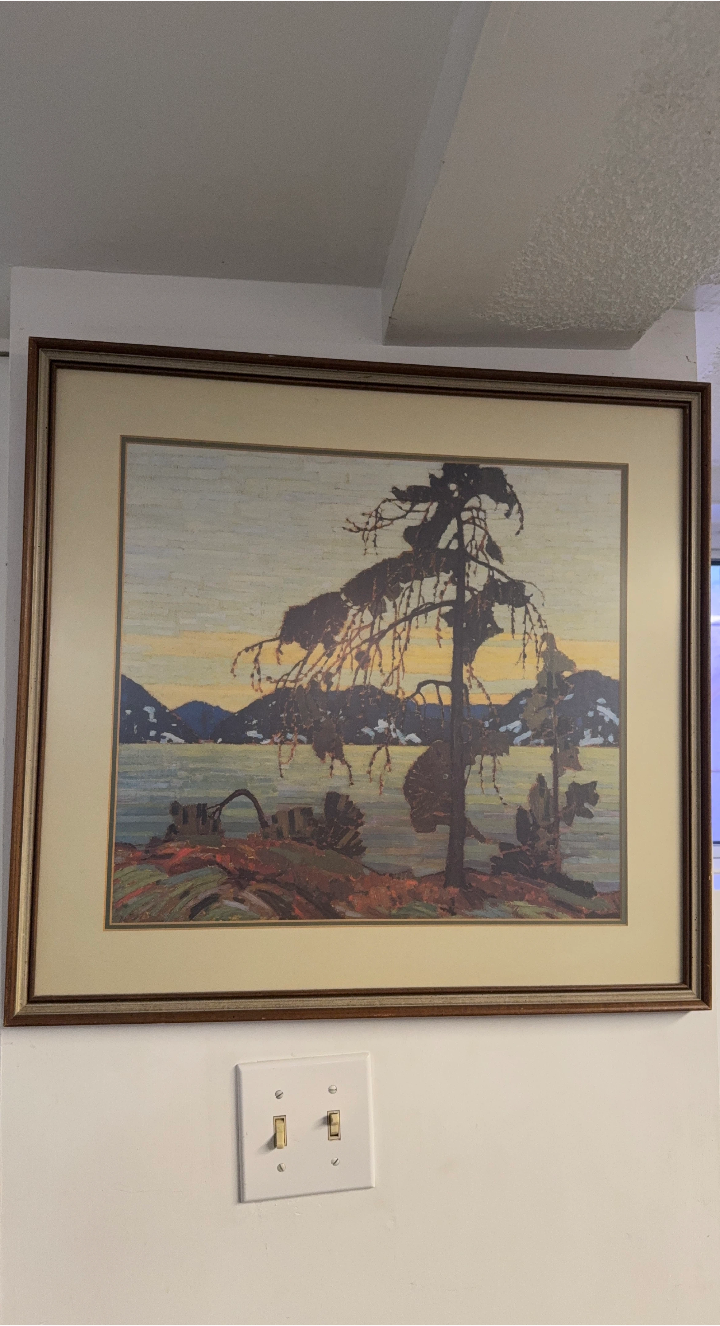 Framed Landscape Artwork