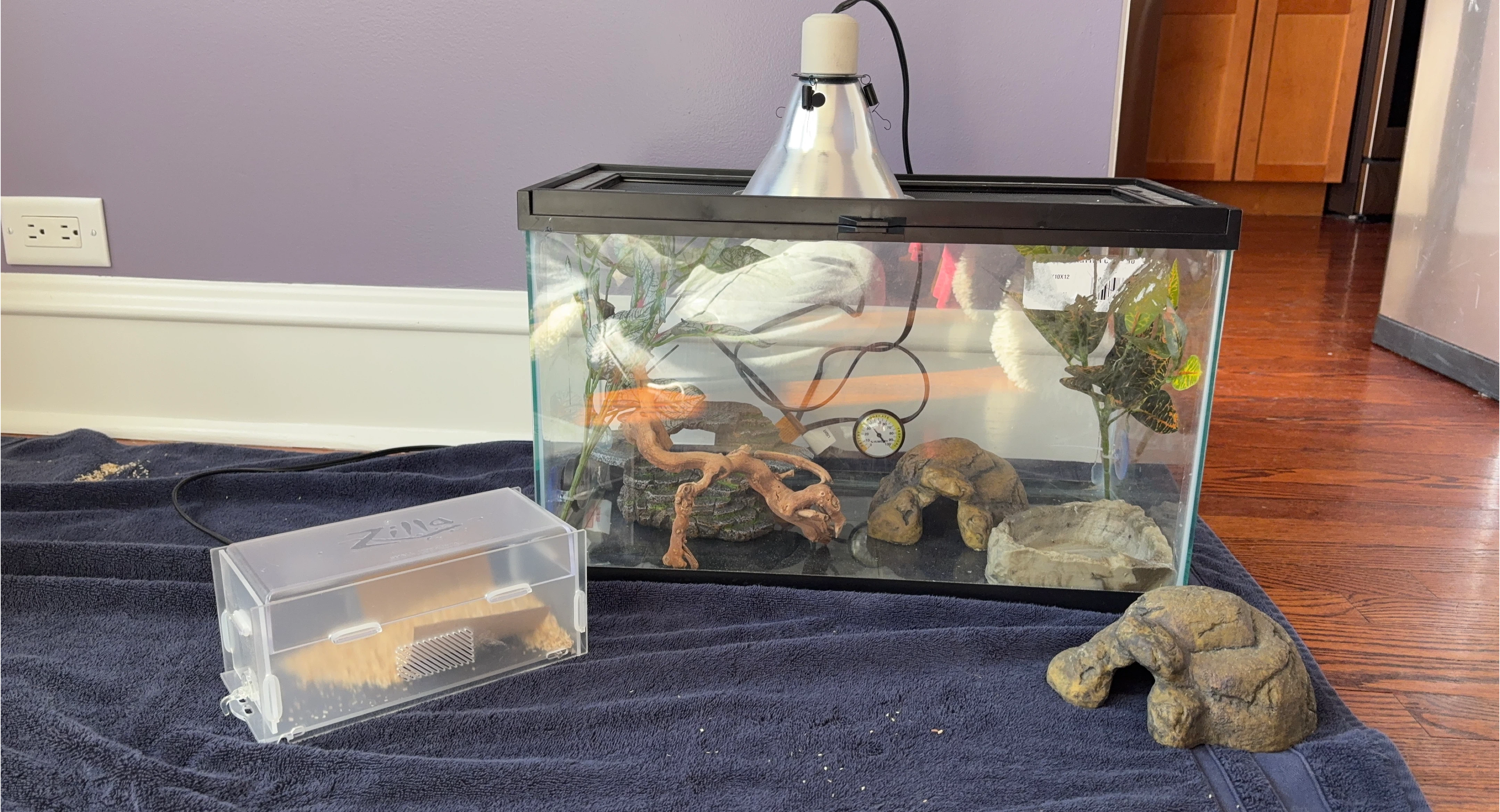 Reptile Terrarium Kit with Accessories