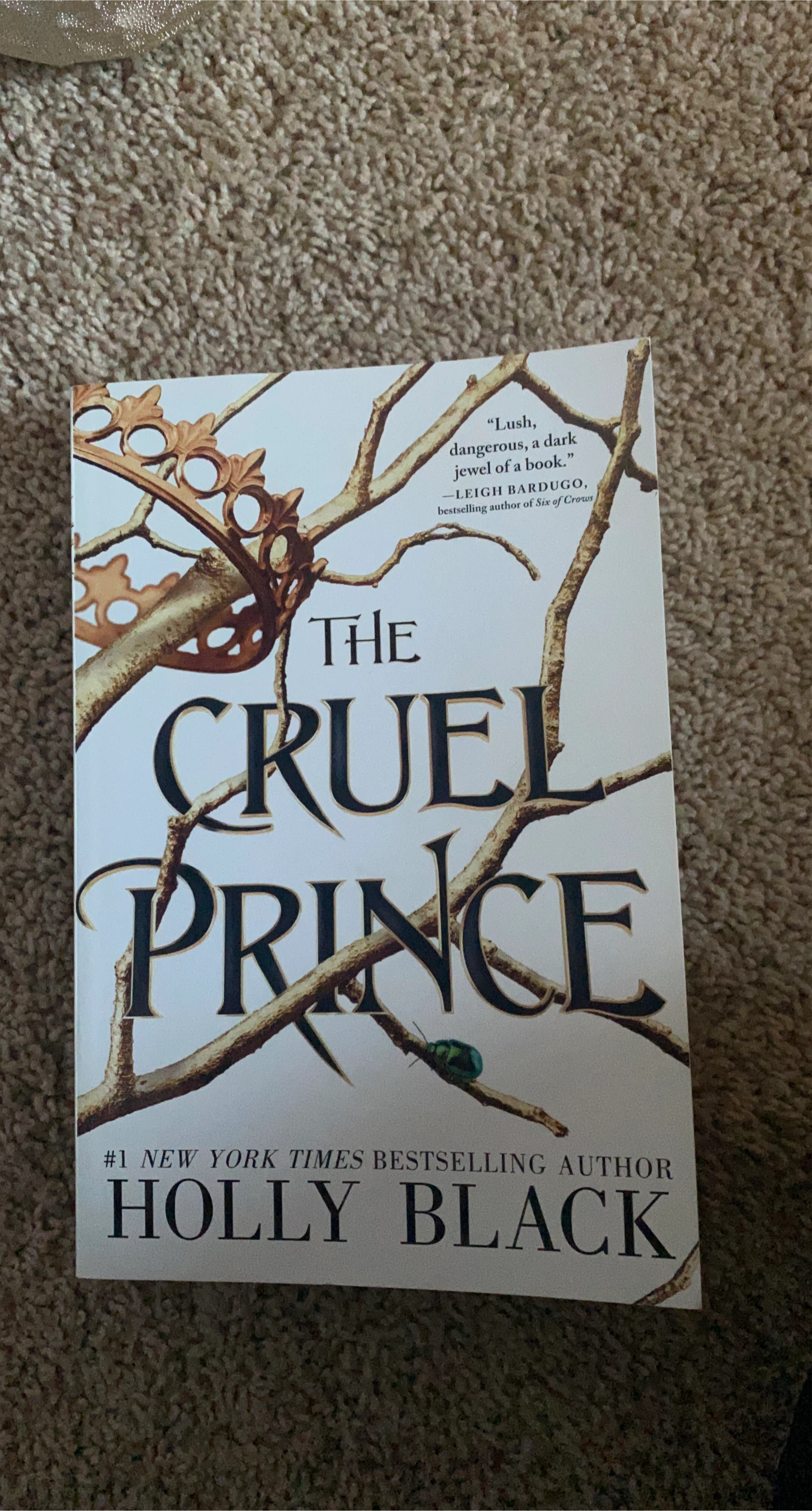 The Cruel Prince by Holly Black 🏆