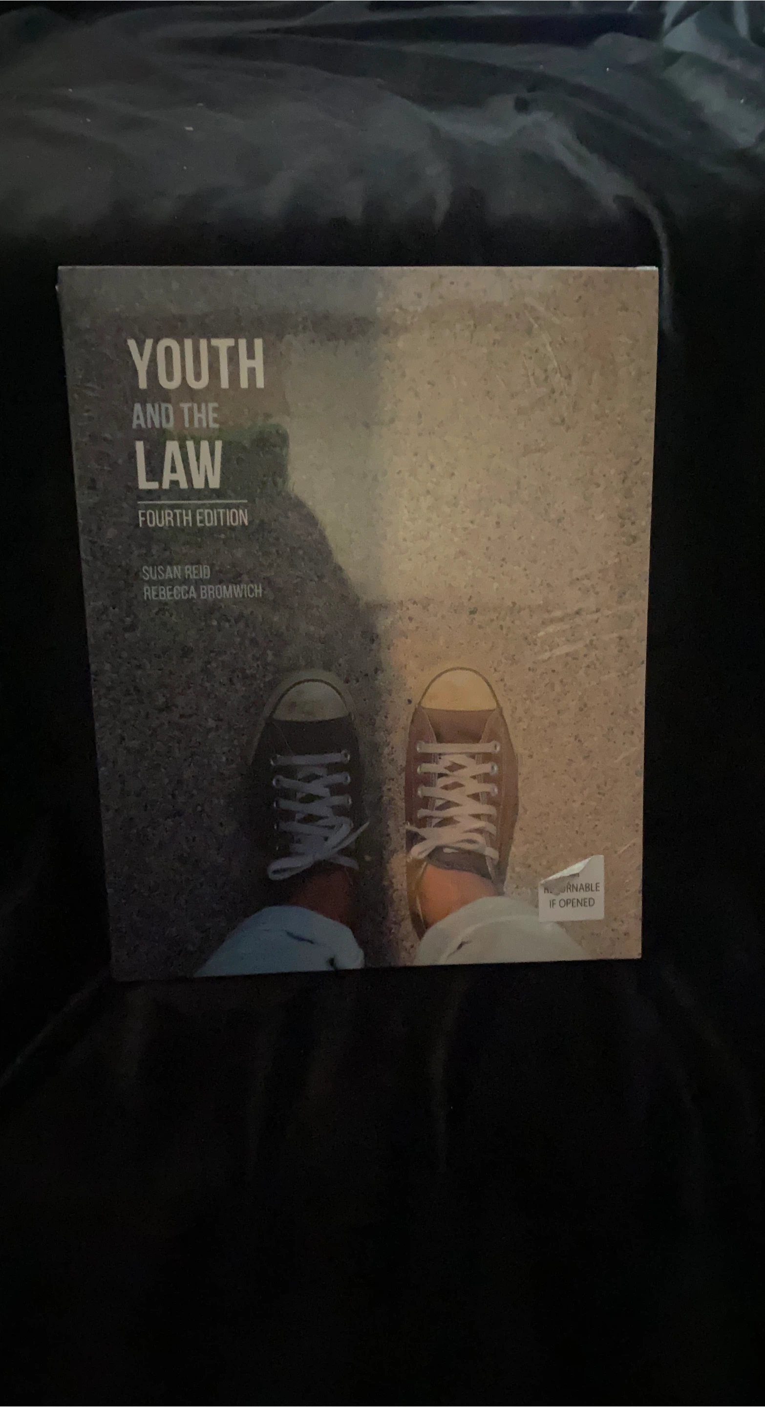 Youth and the Law, Fourth Edition Textbook 🏆