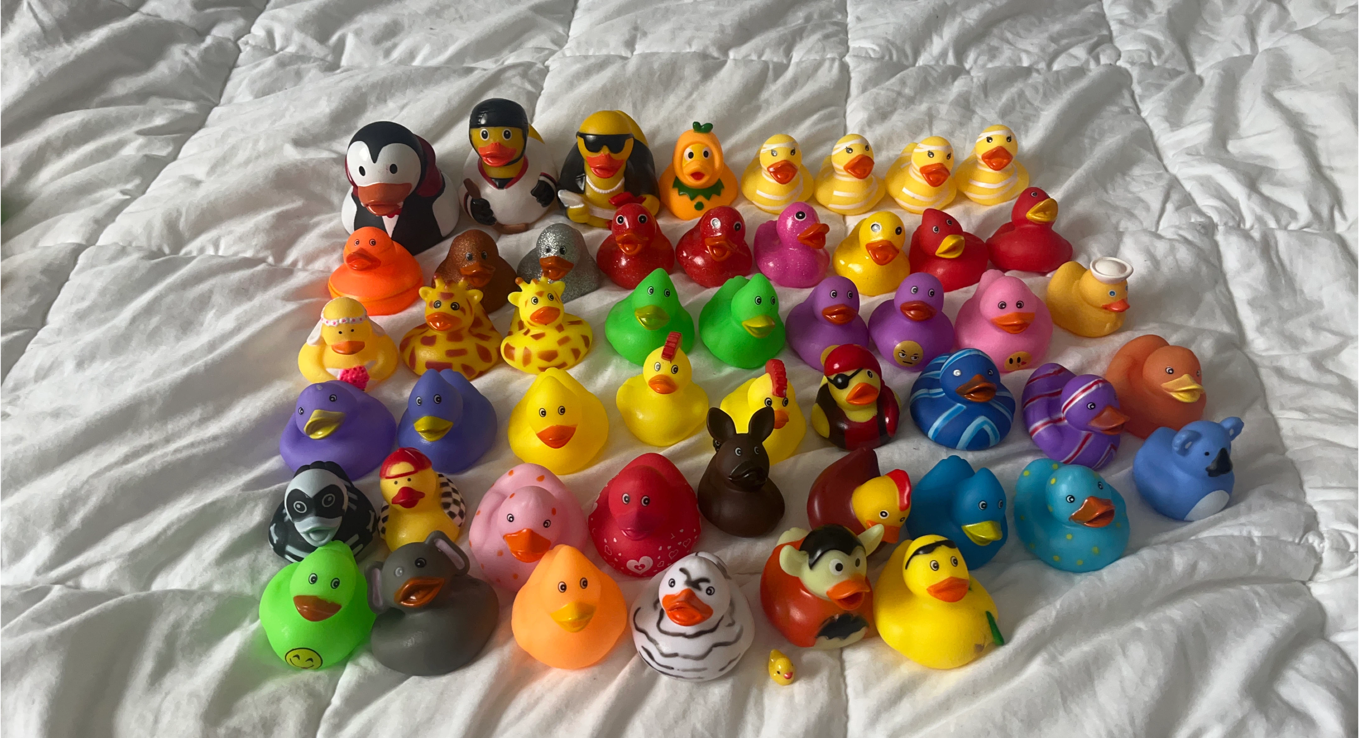 Assorted Rubber Ducks Collection