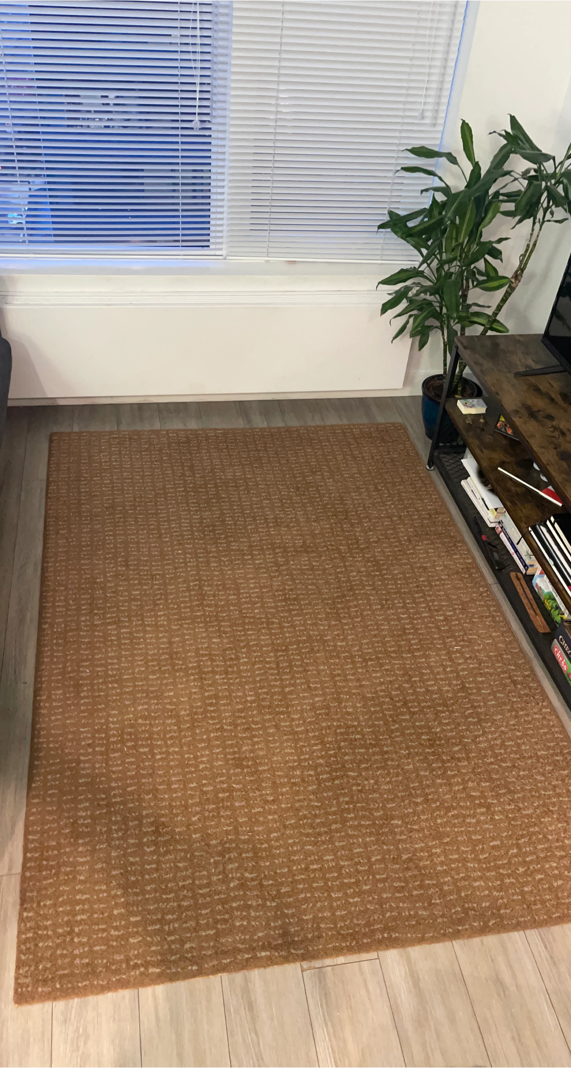 Brown Area Rug