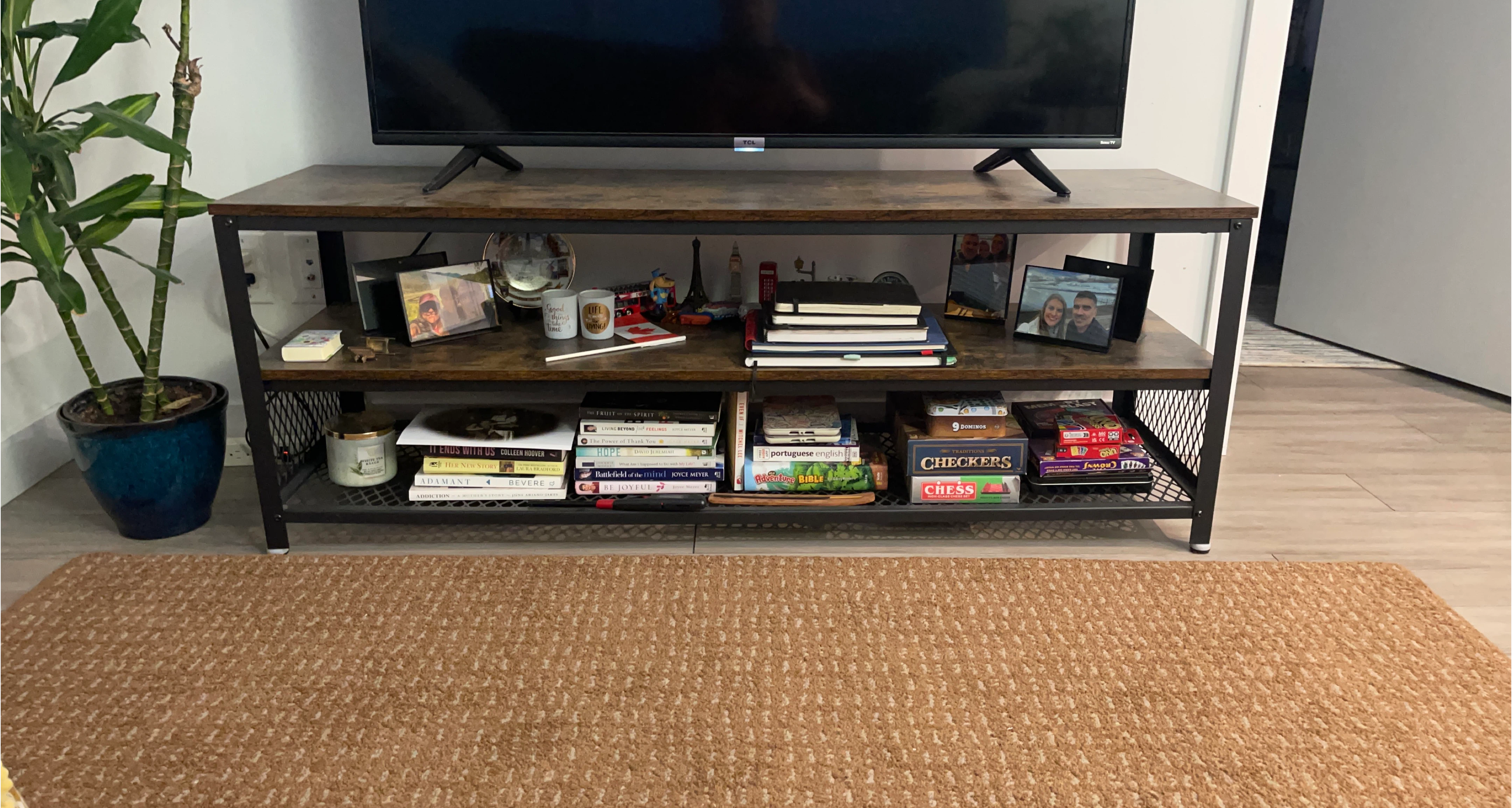 TV Stand with Storage Shelves