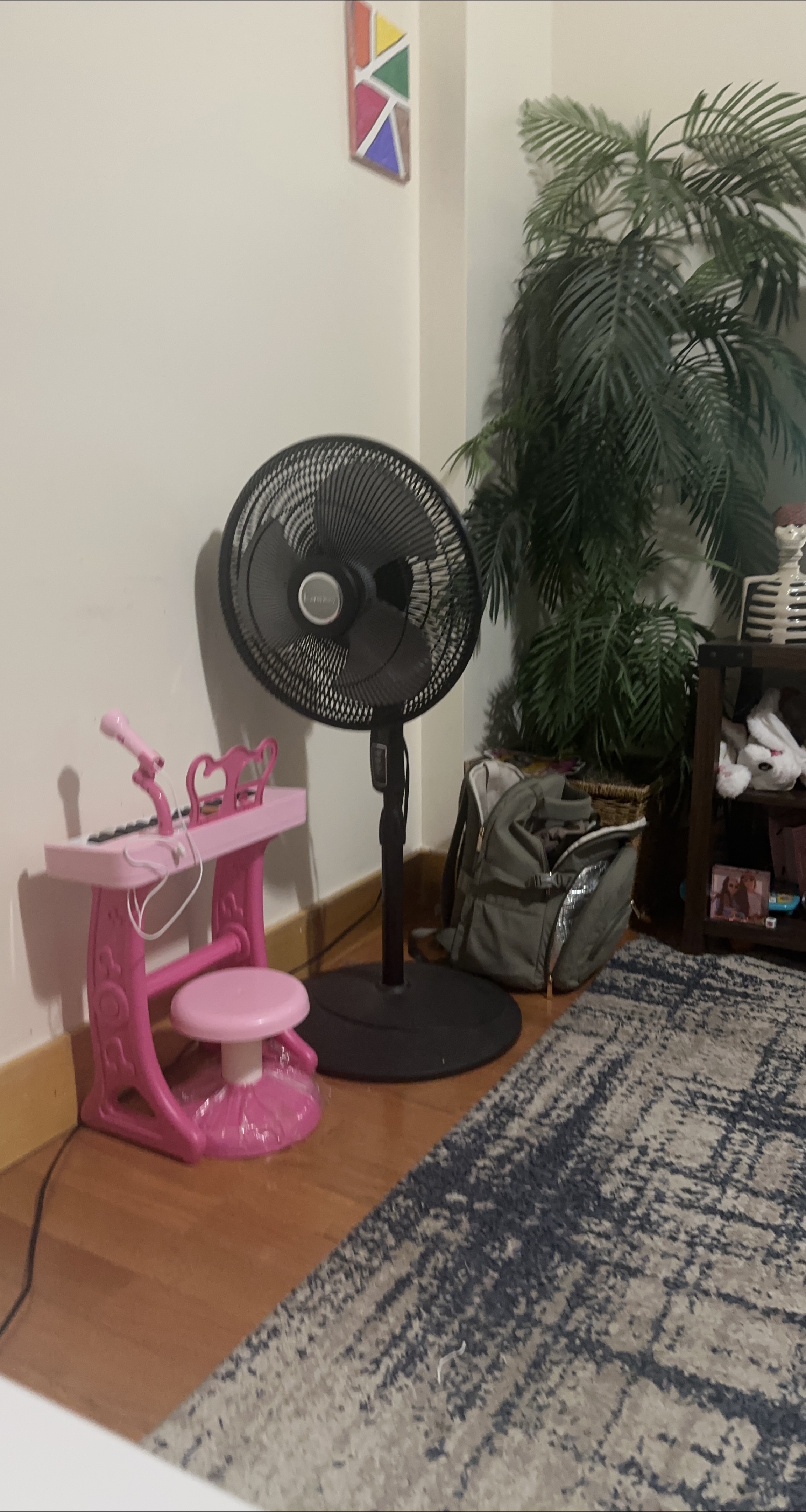 Black oscillating stand fan