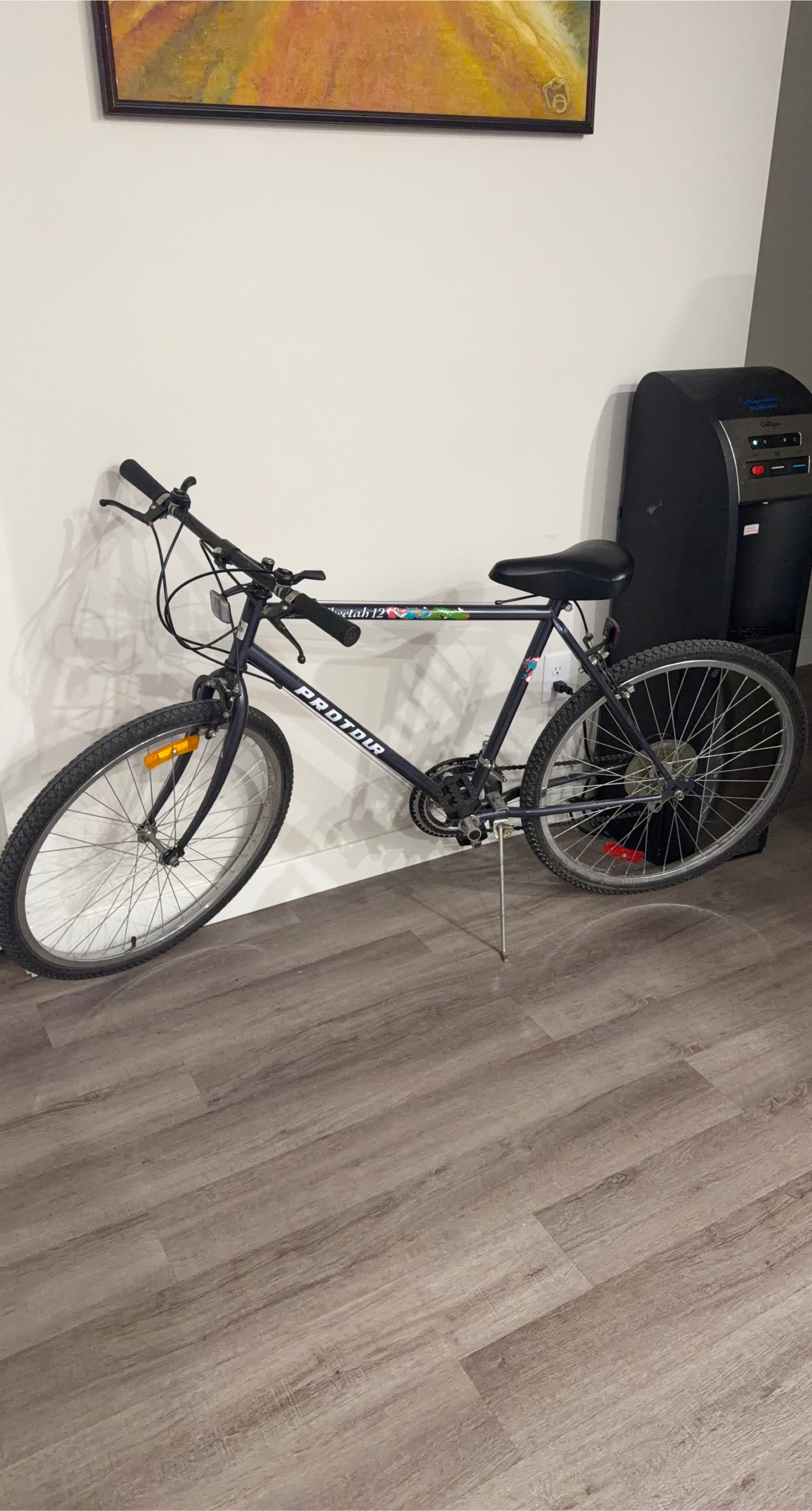 Pro-Tour Mountain Bike