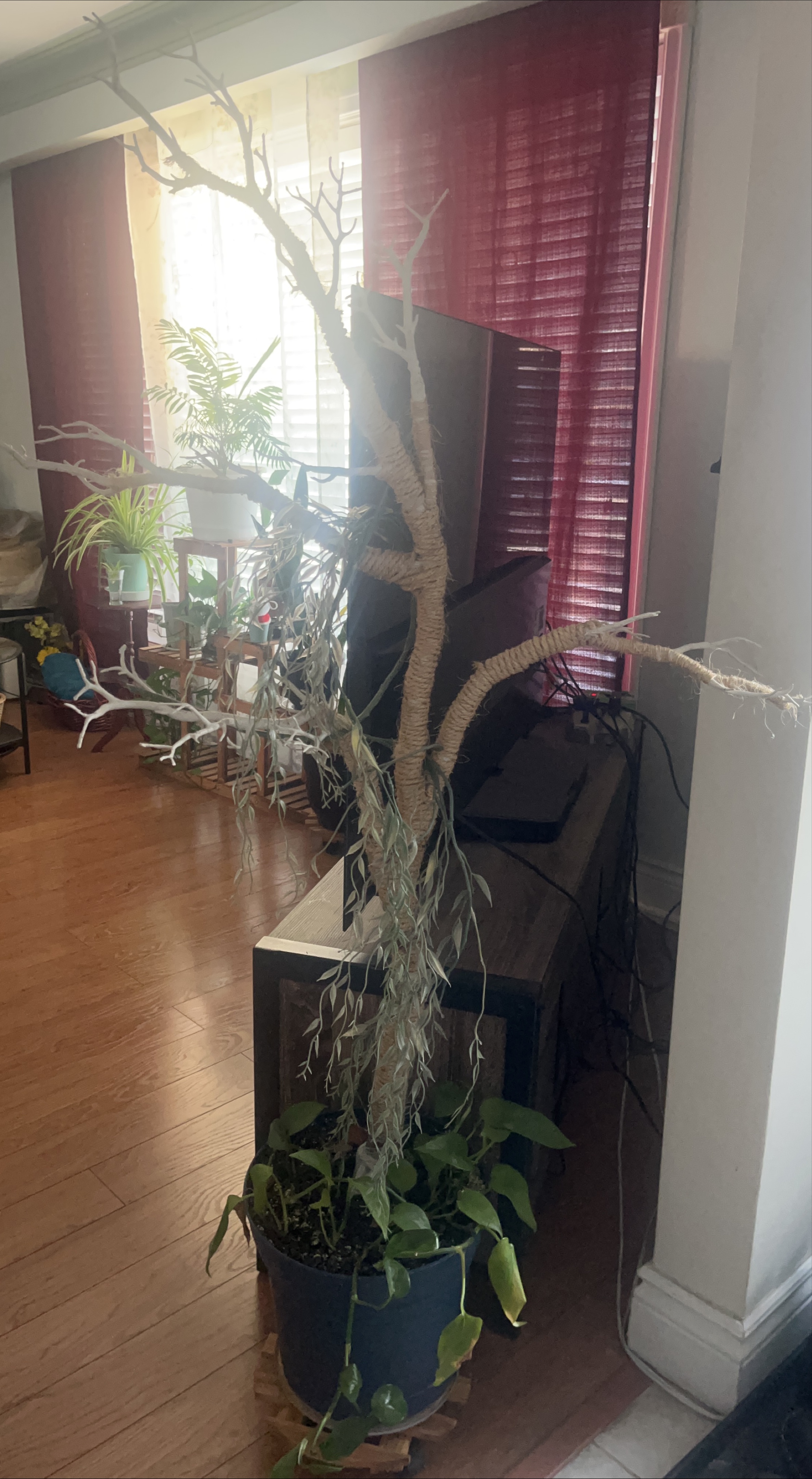 Rustic Rope-Wrapped Tree Branch Decor