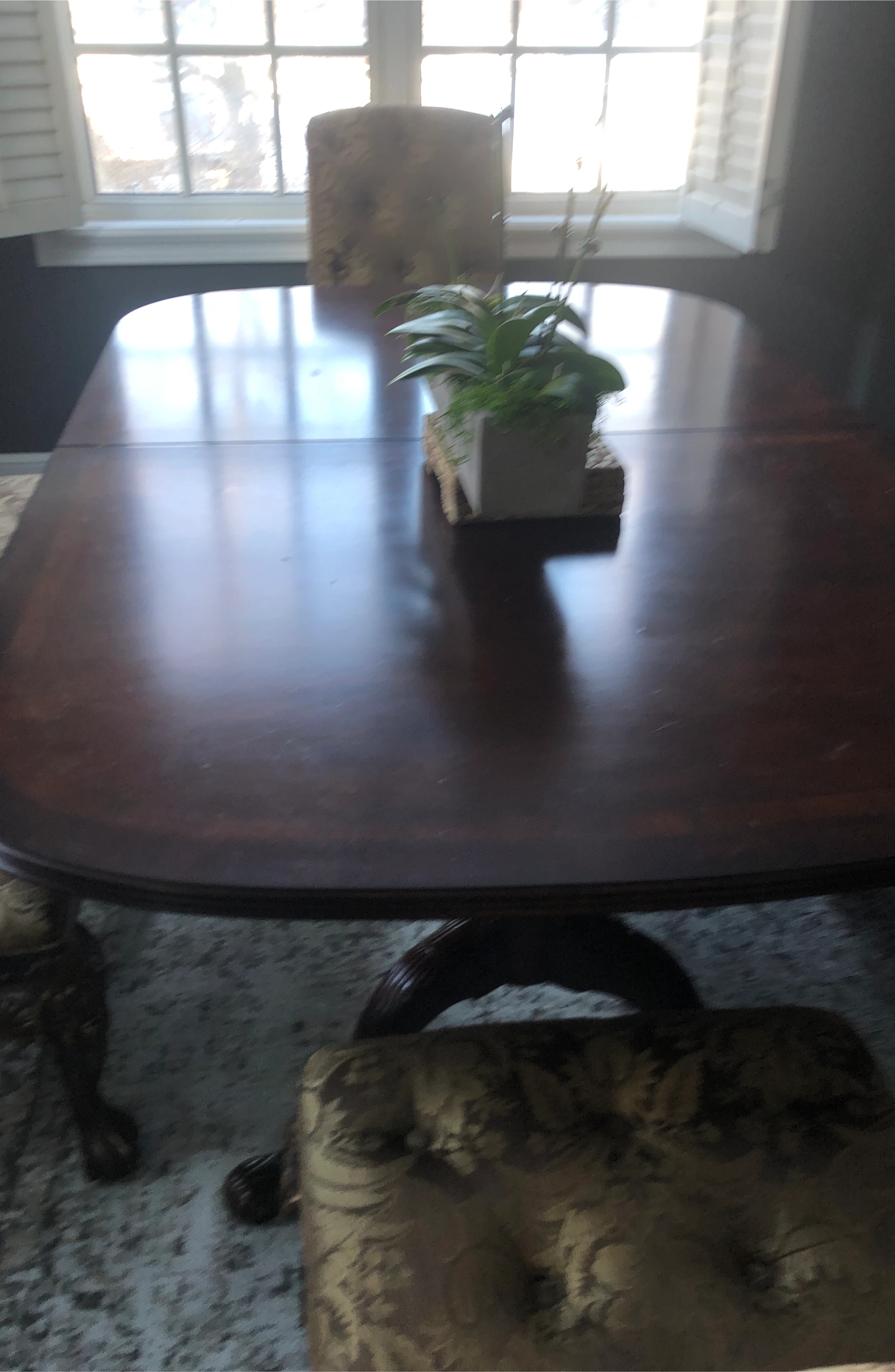 Dark Wood Dining Table with Chairs