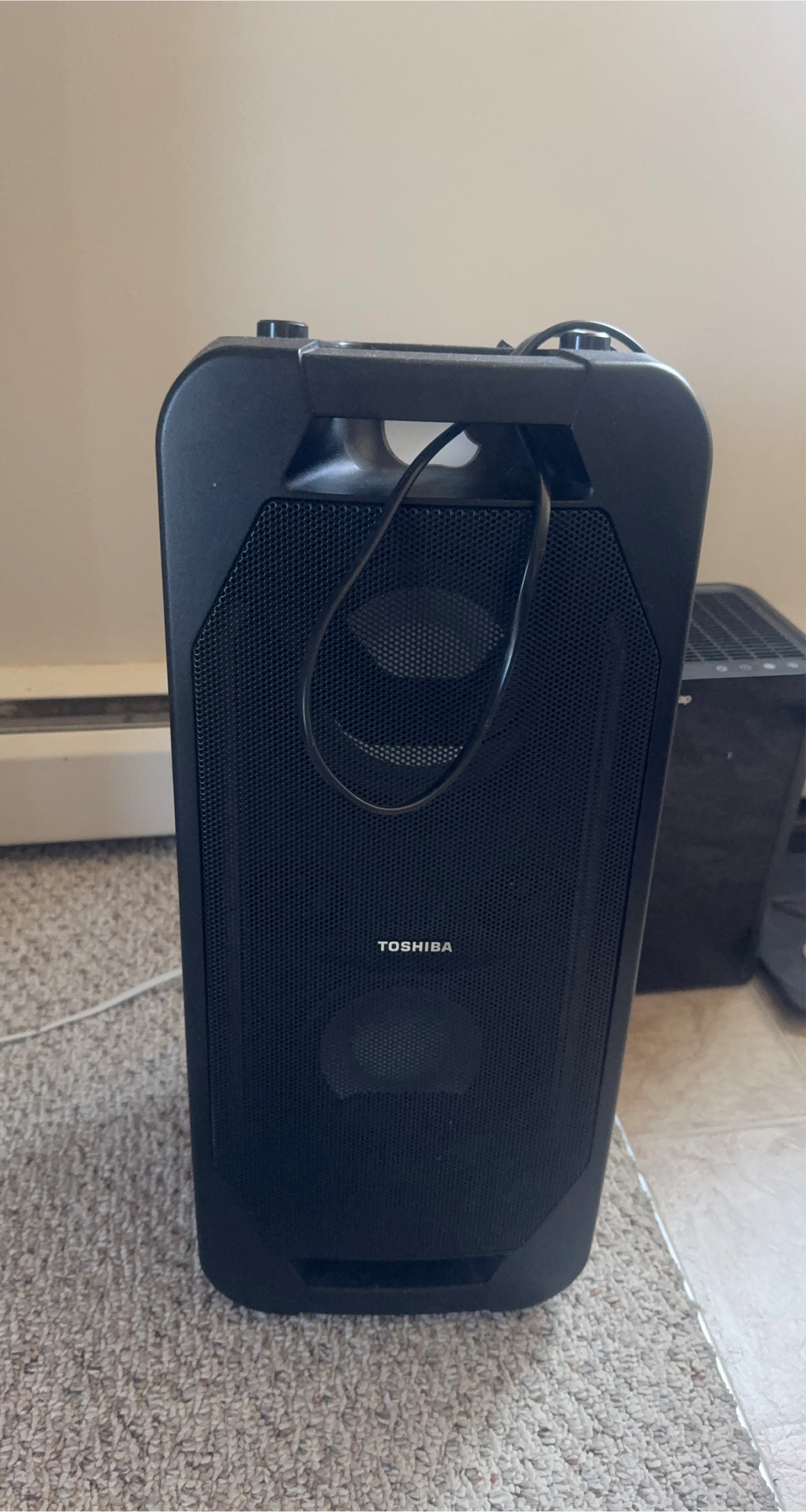 Toshiba Portable Speaker