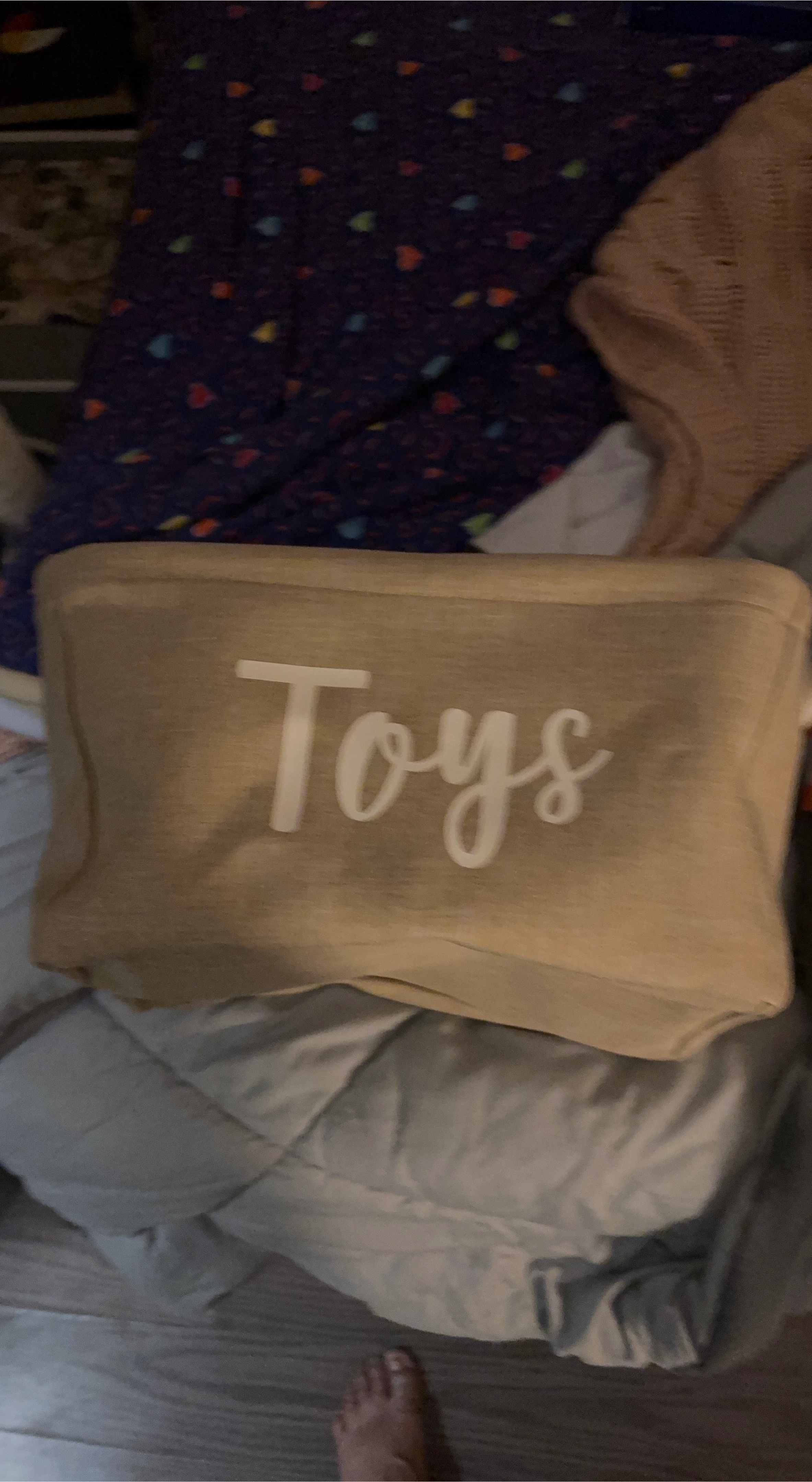 2 Fabric Storage Bin with 'Toys' Label