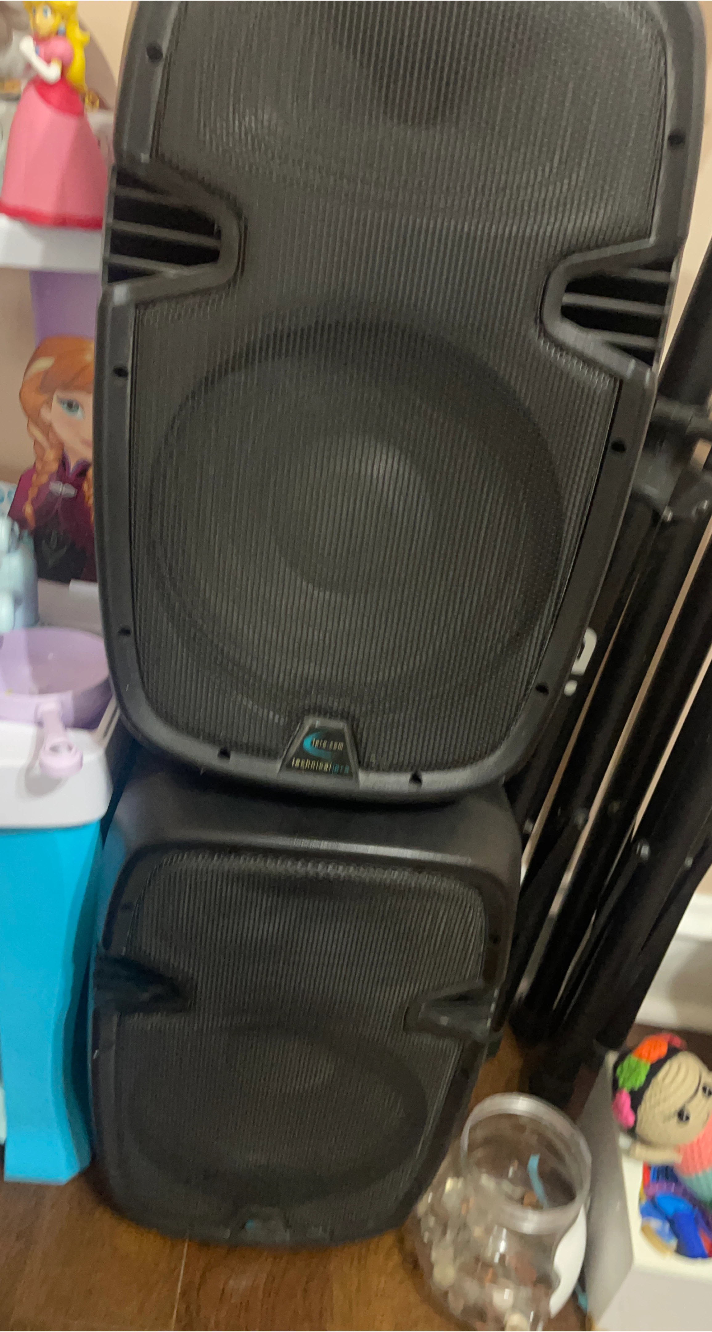 Technical Pro Professional PA Speaker