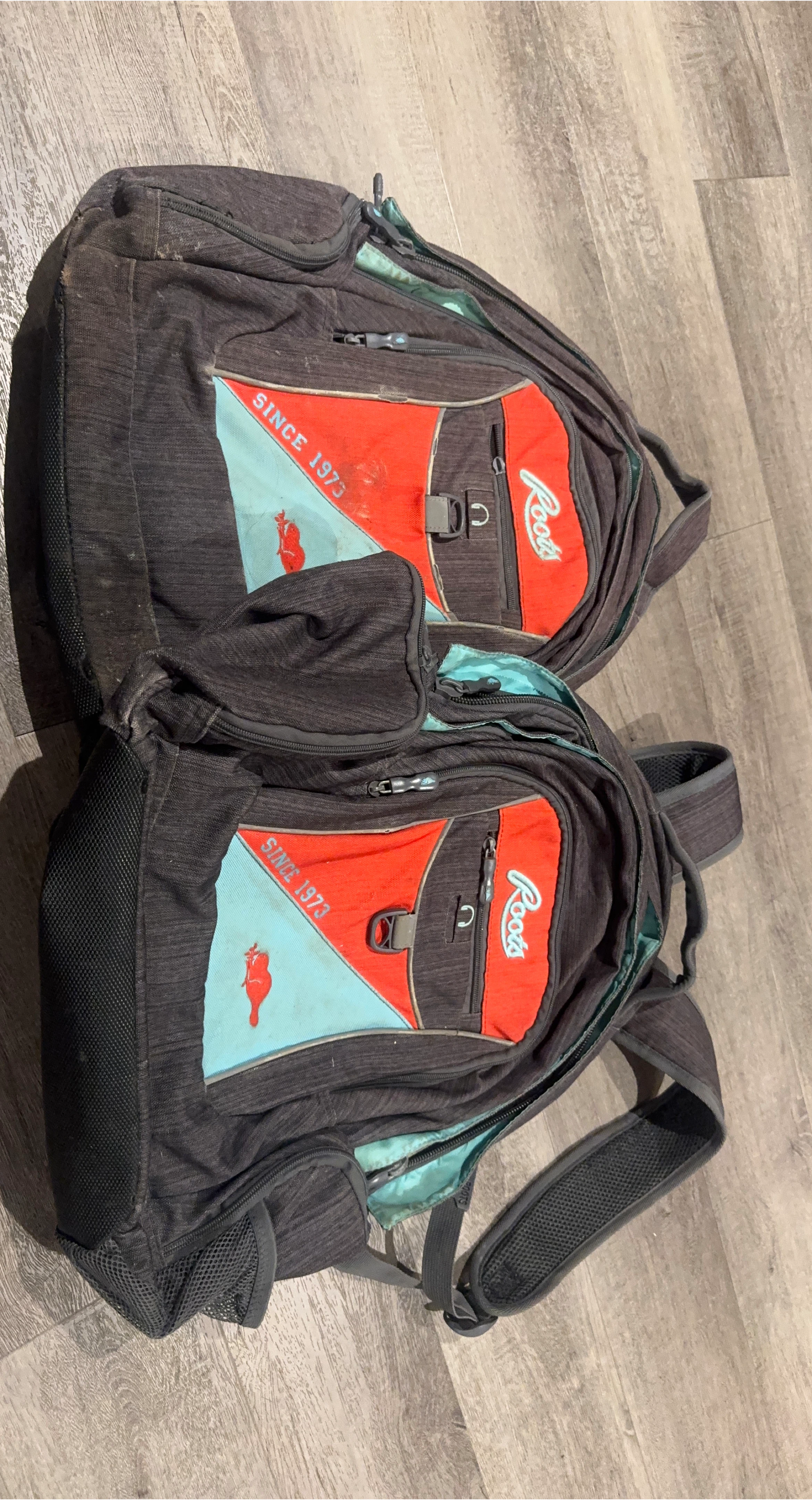 Roots Backpack