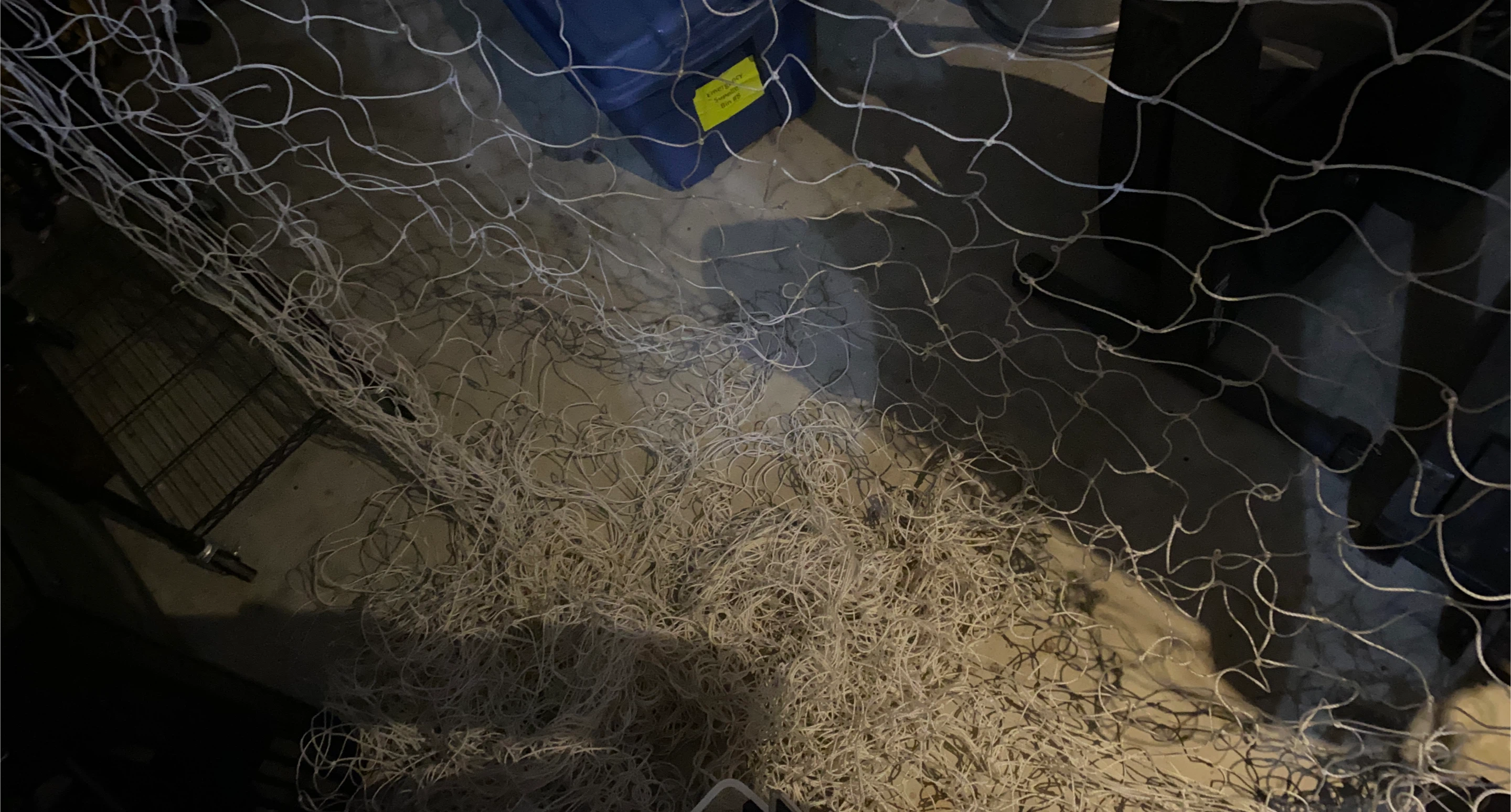 White soccer netting