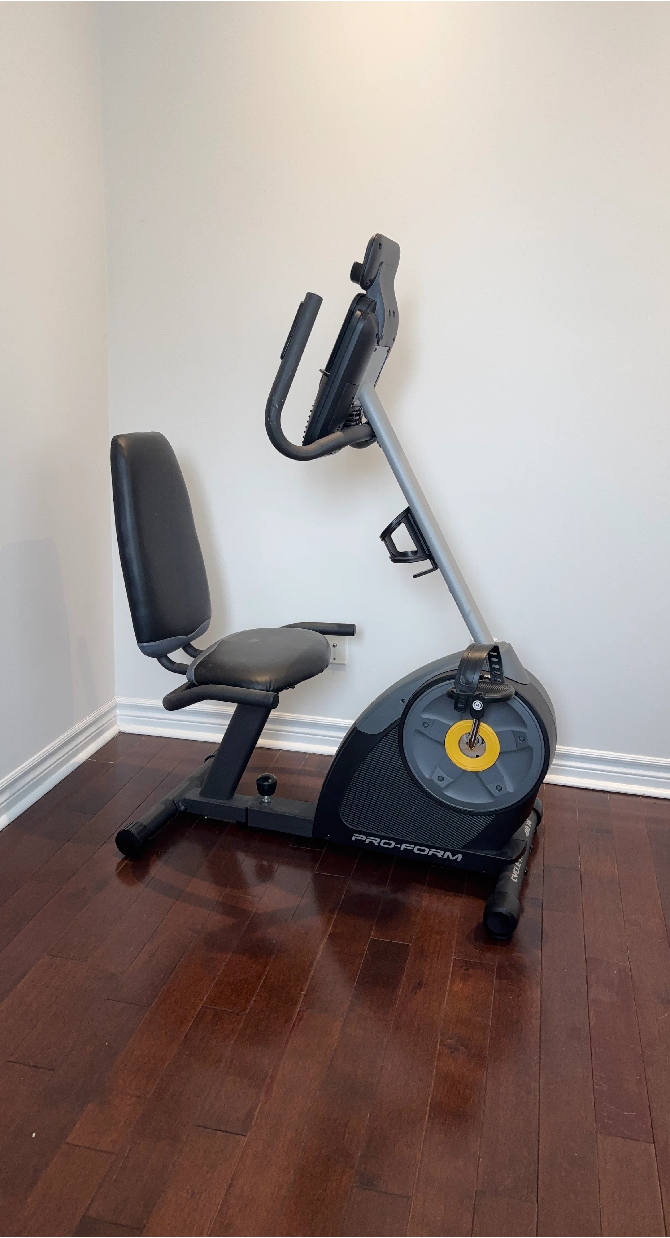 ProForm Recumbent Exercise Bike