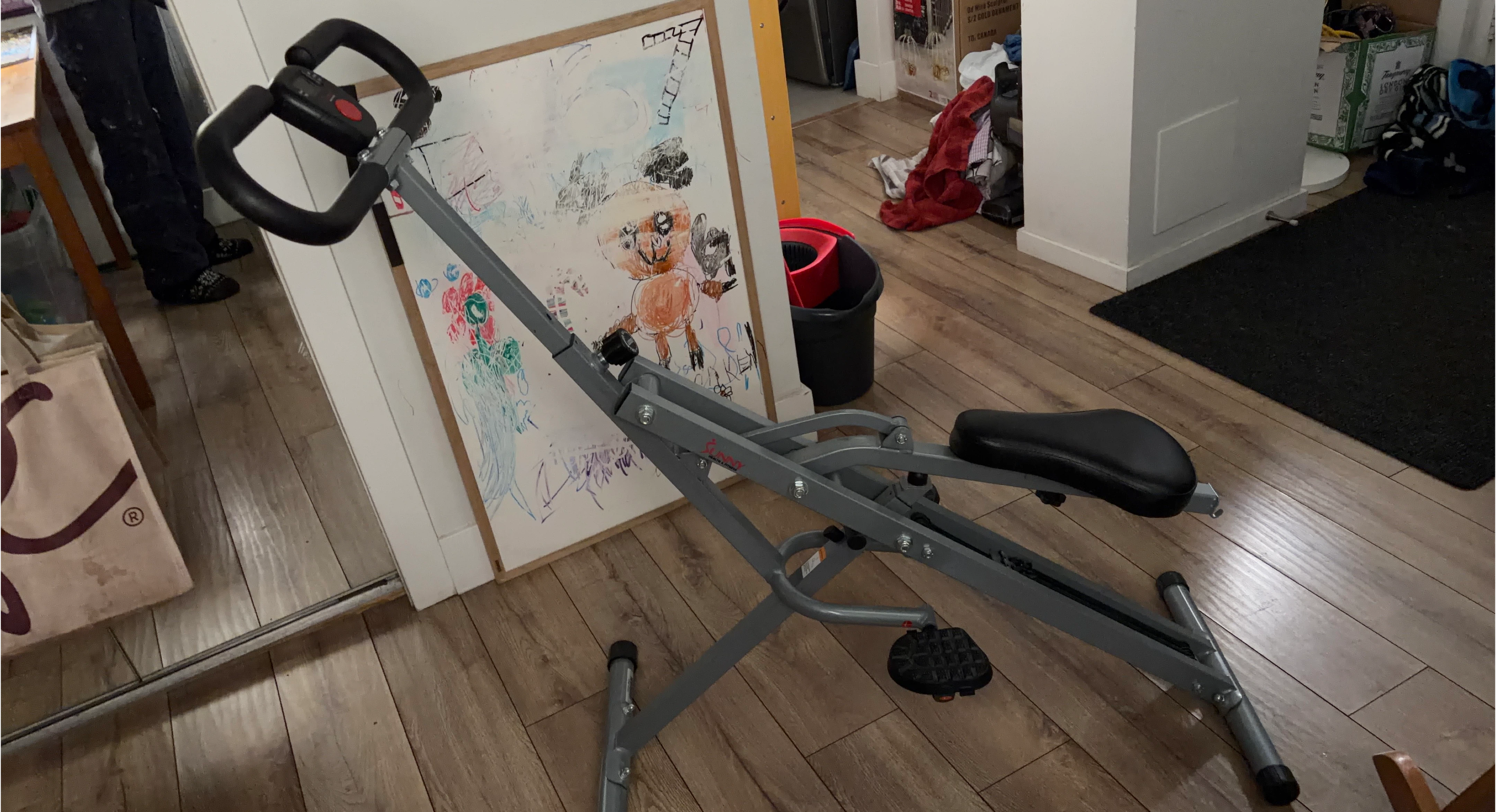 Sunny Health & Fitness Squat Assist Row-N-Ride