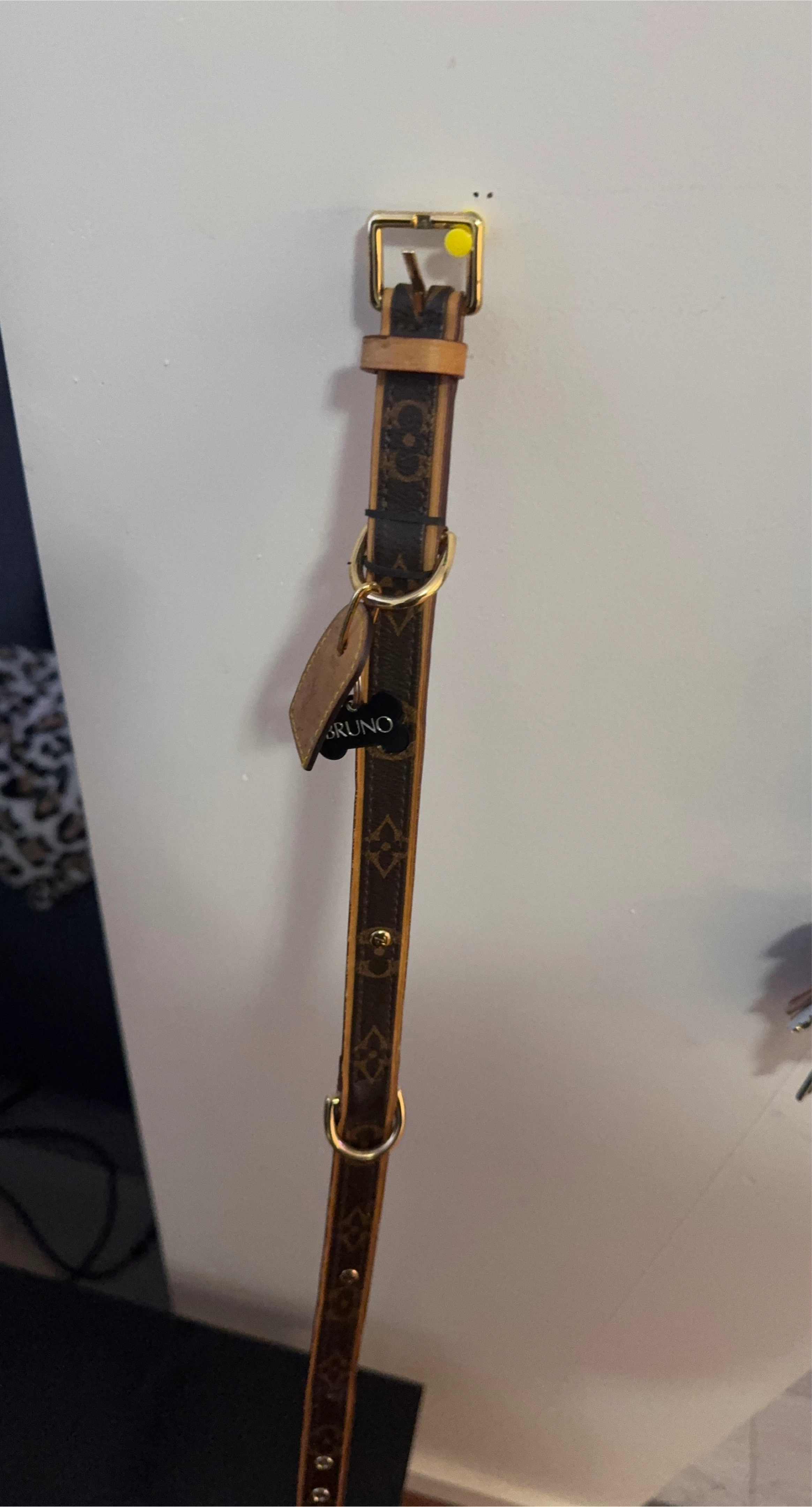 Dog Collar