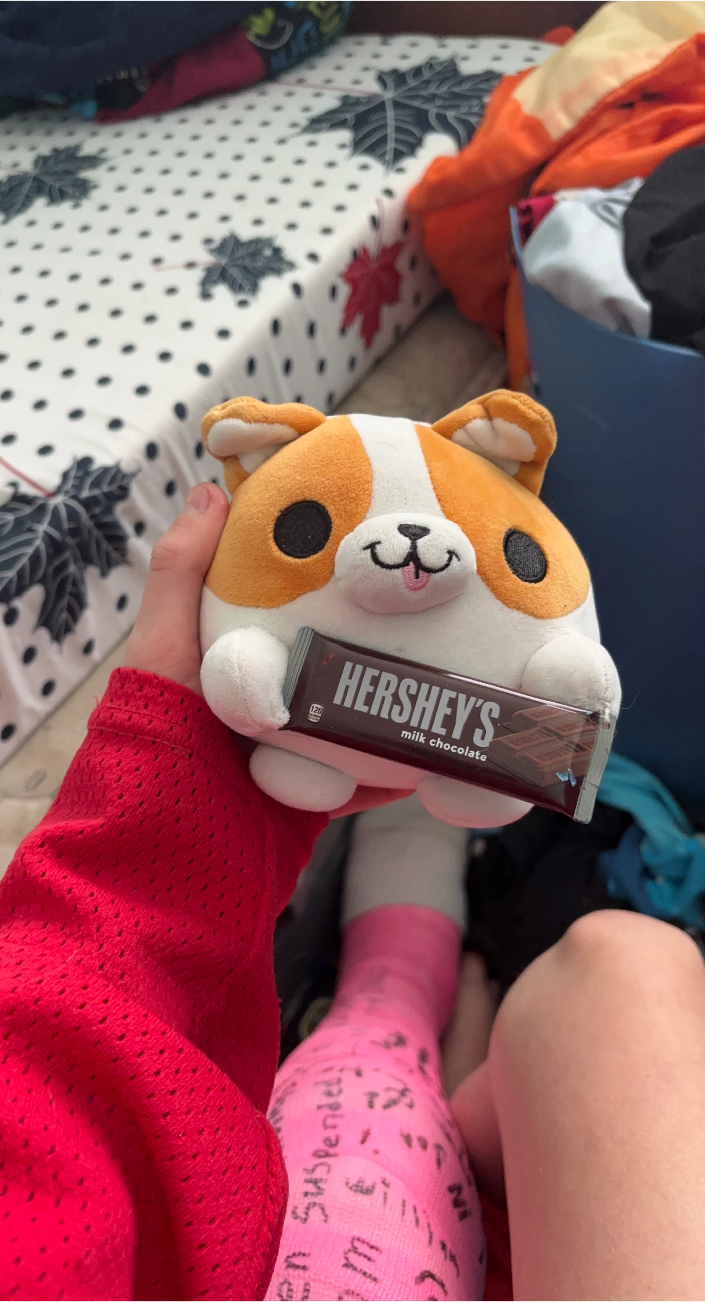 Corgi stuffy with a small plastic Hershey’s