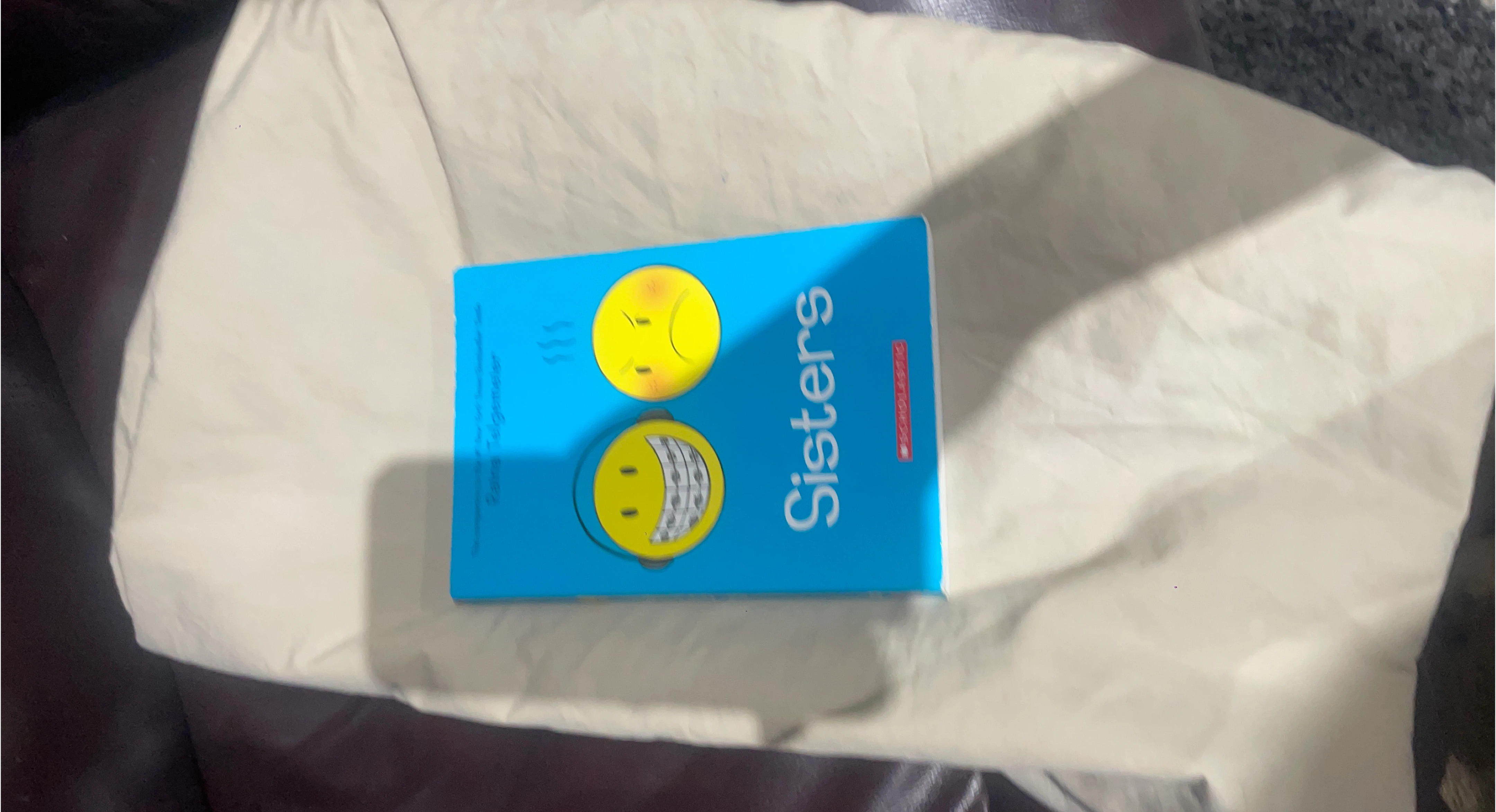 Sisters by Raina Telgemeier Graphic Novel