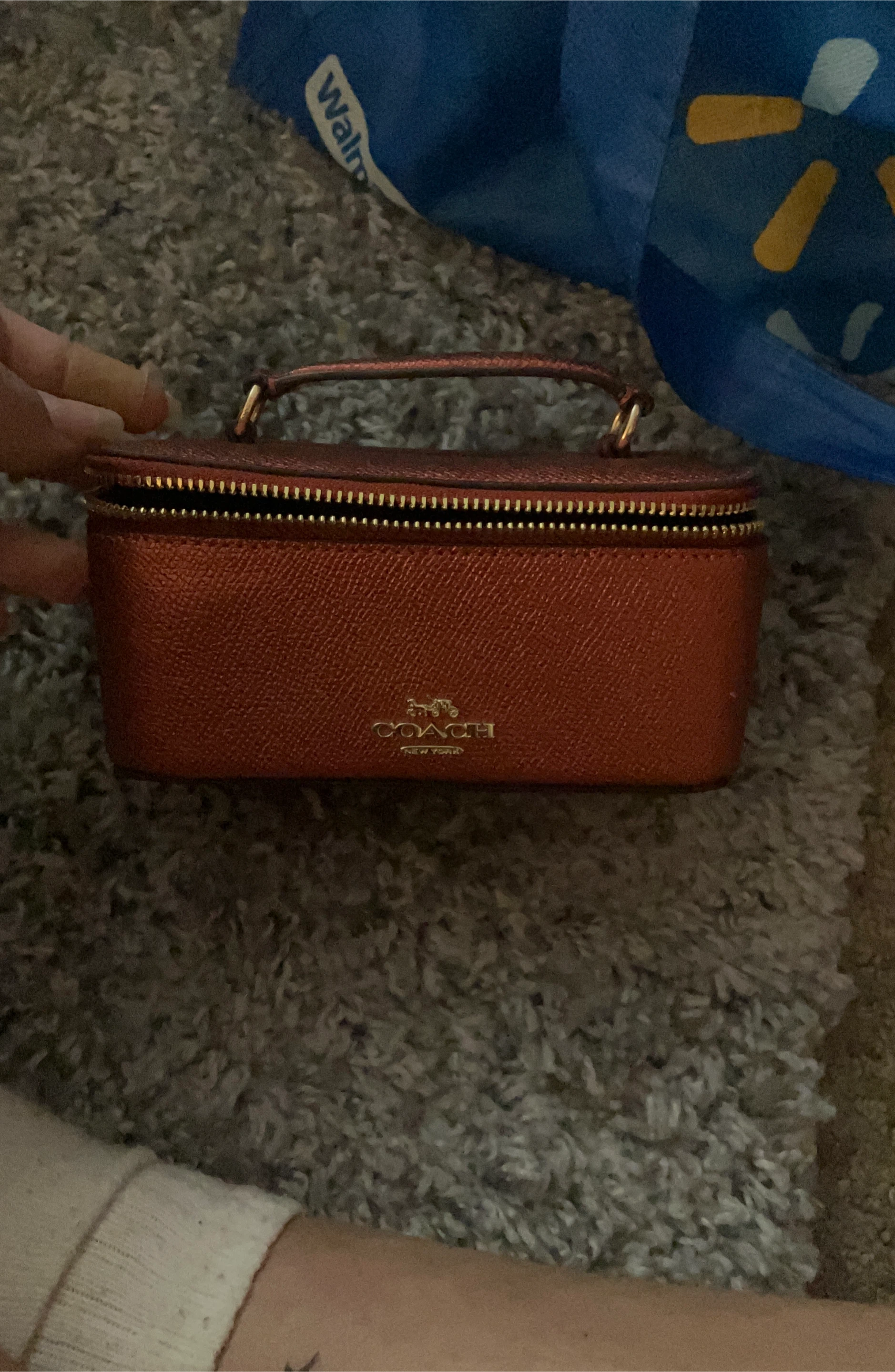 Coach Small Cosmetic Case