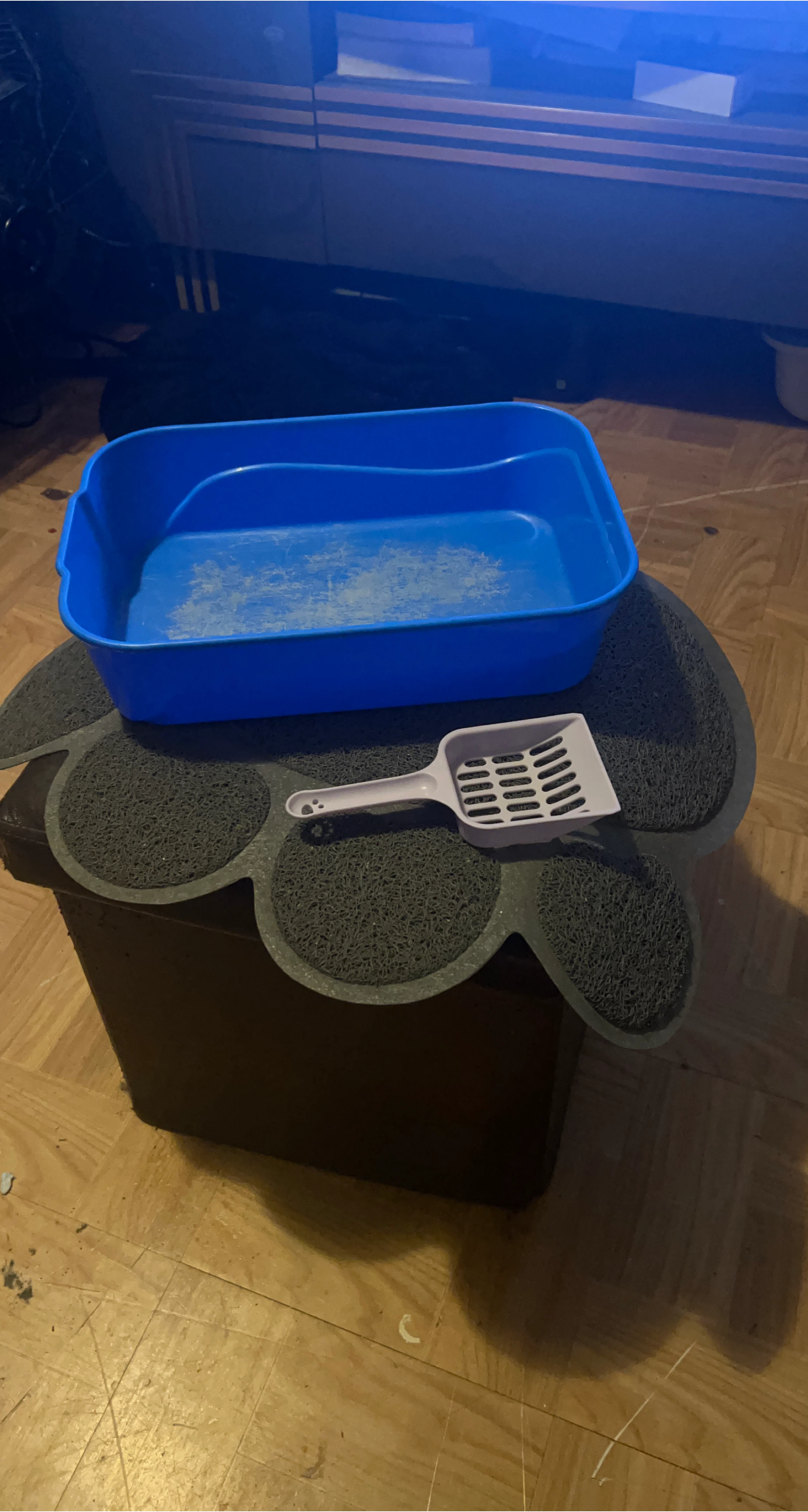 Blue Plastic Litter Box with Scoop and Paw Print Mat