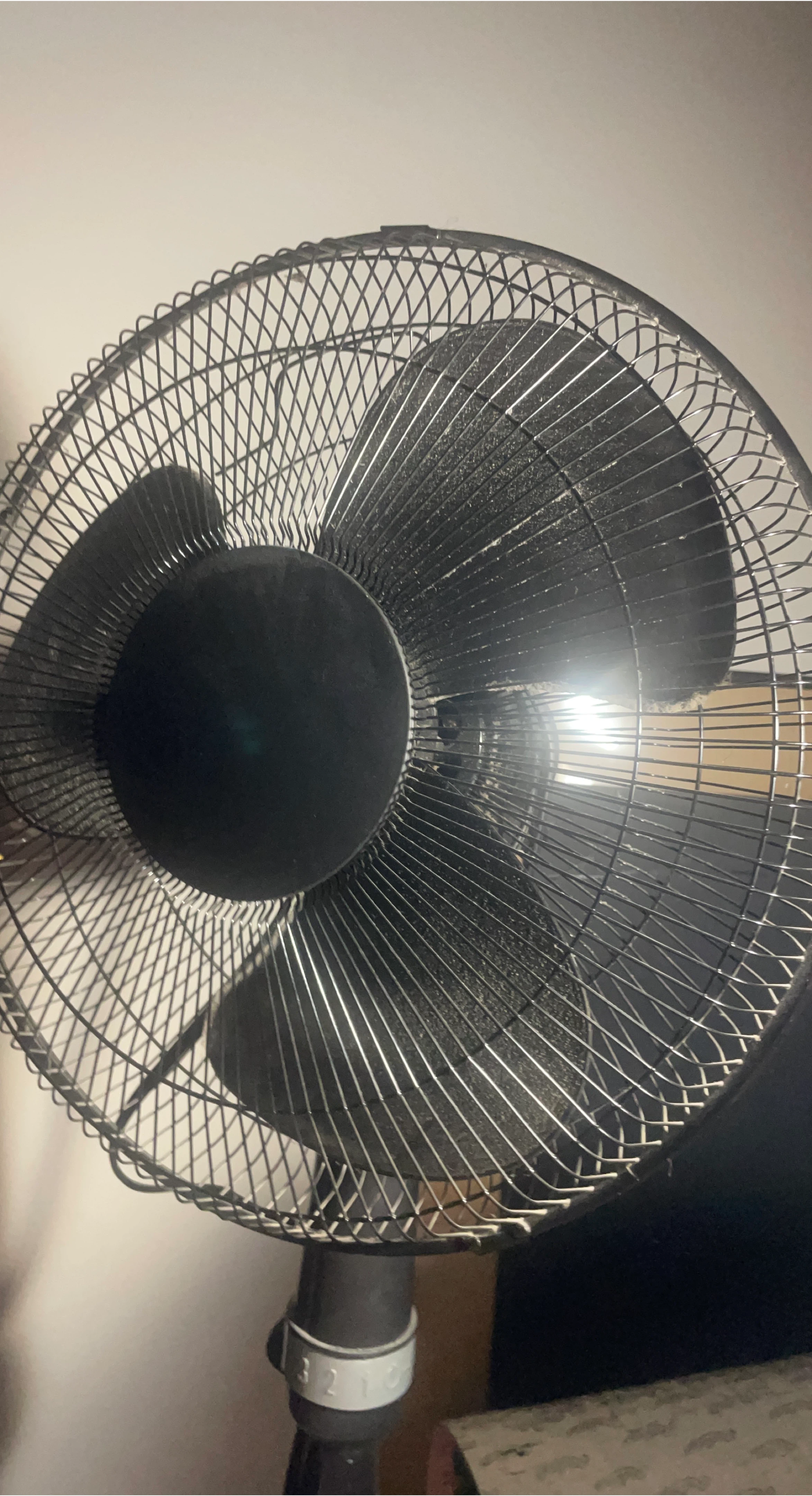 Black Stand Fan