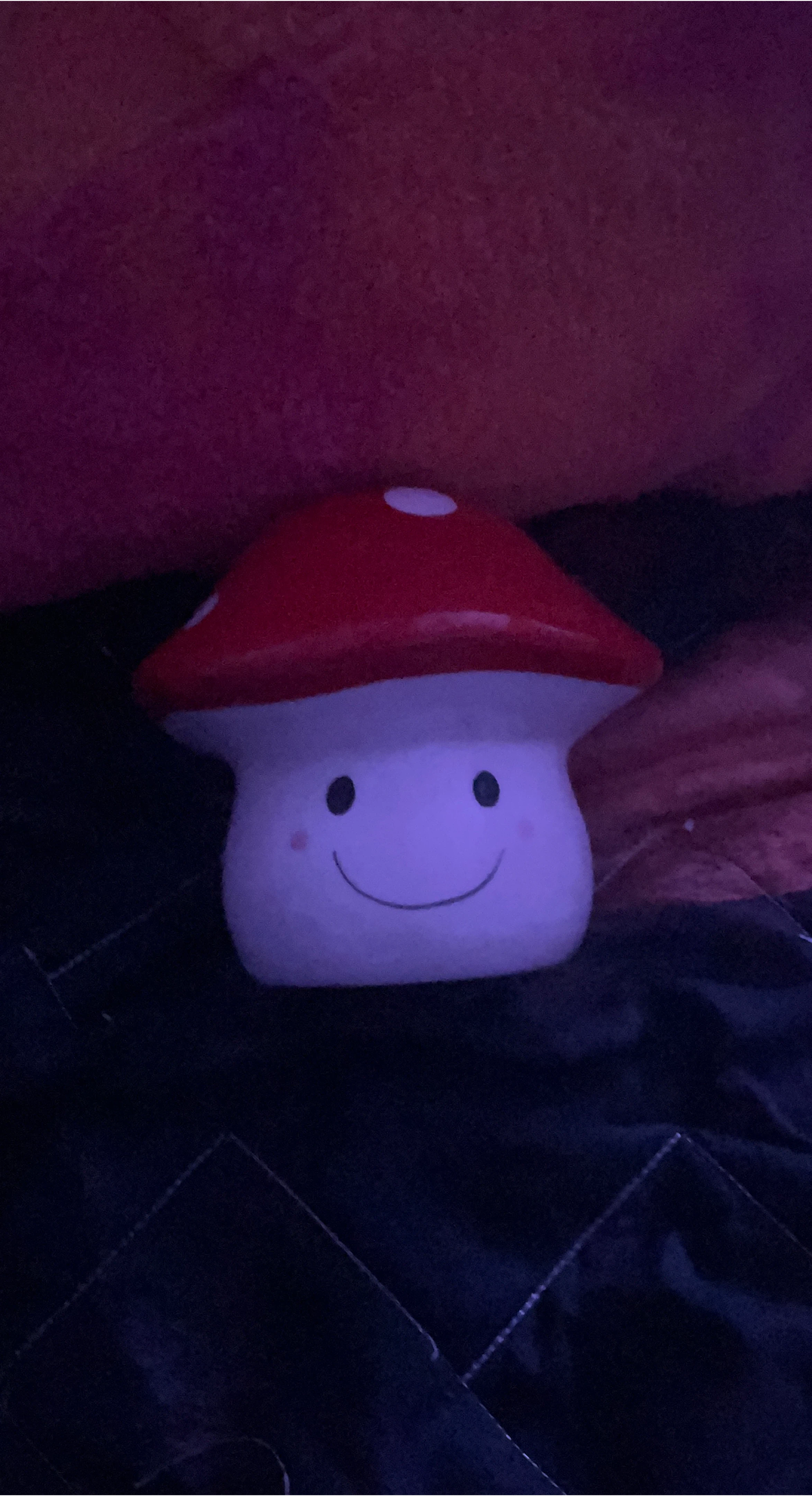 Cute Mushroom piggy bank