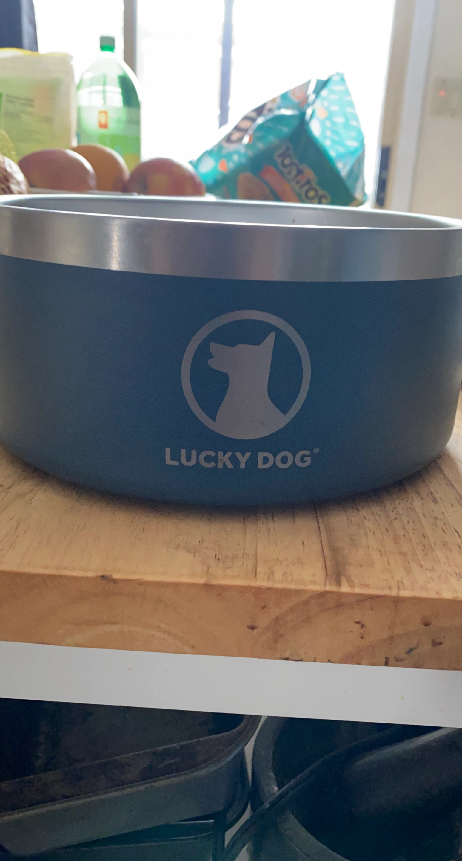 Lucky Dog Pet Bowl