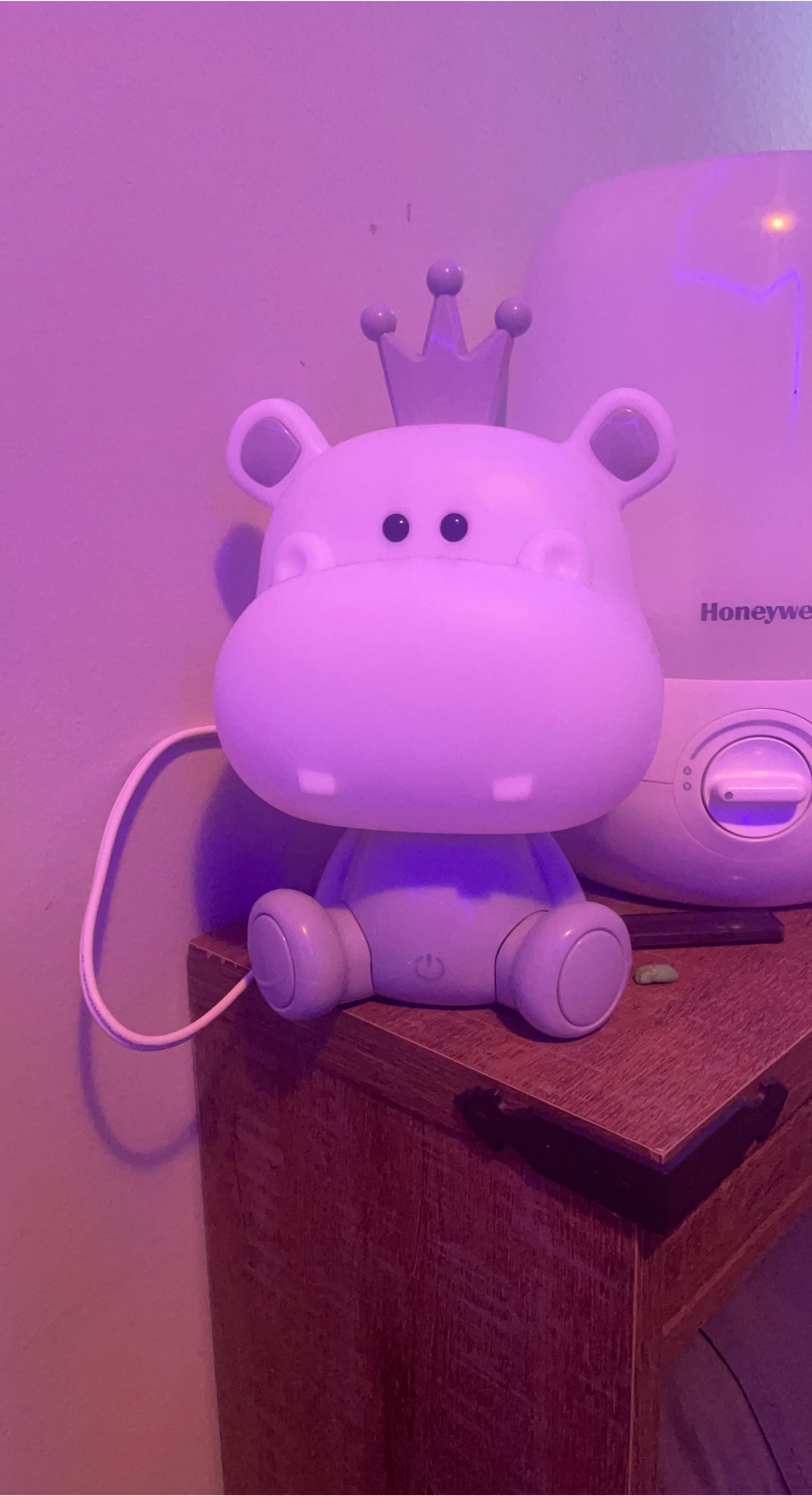 Cute Hippo Crown Night Light