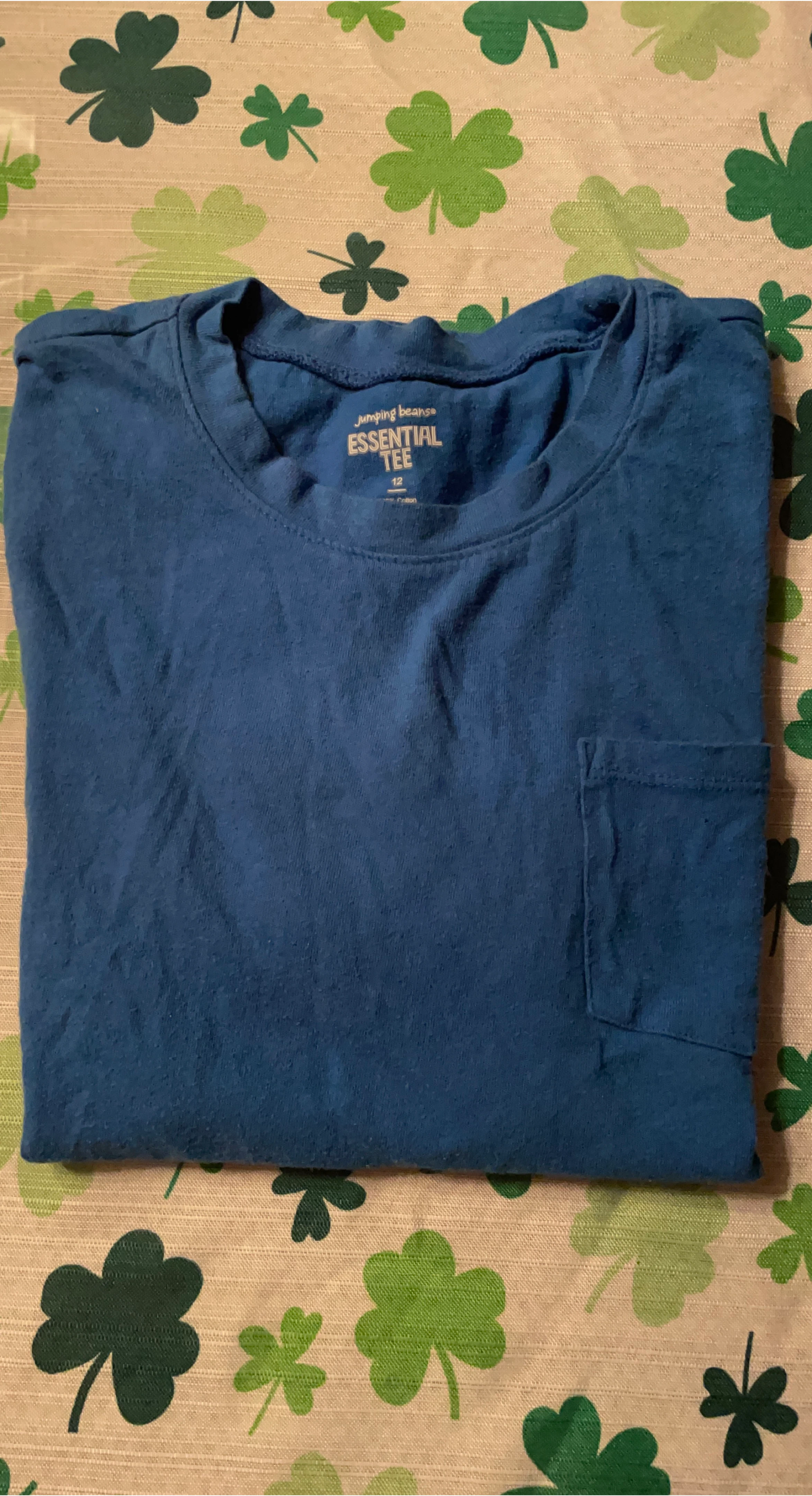 Jumping Beans Blue Essential Tee Size 12 🥕