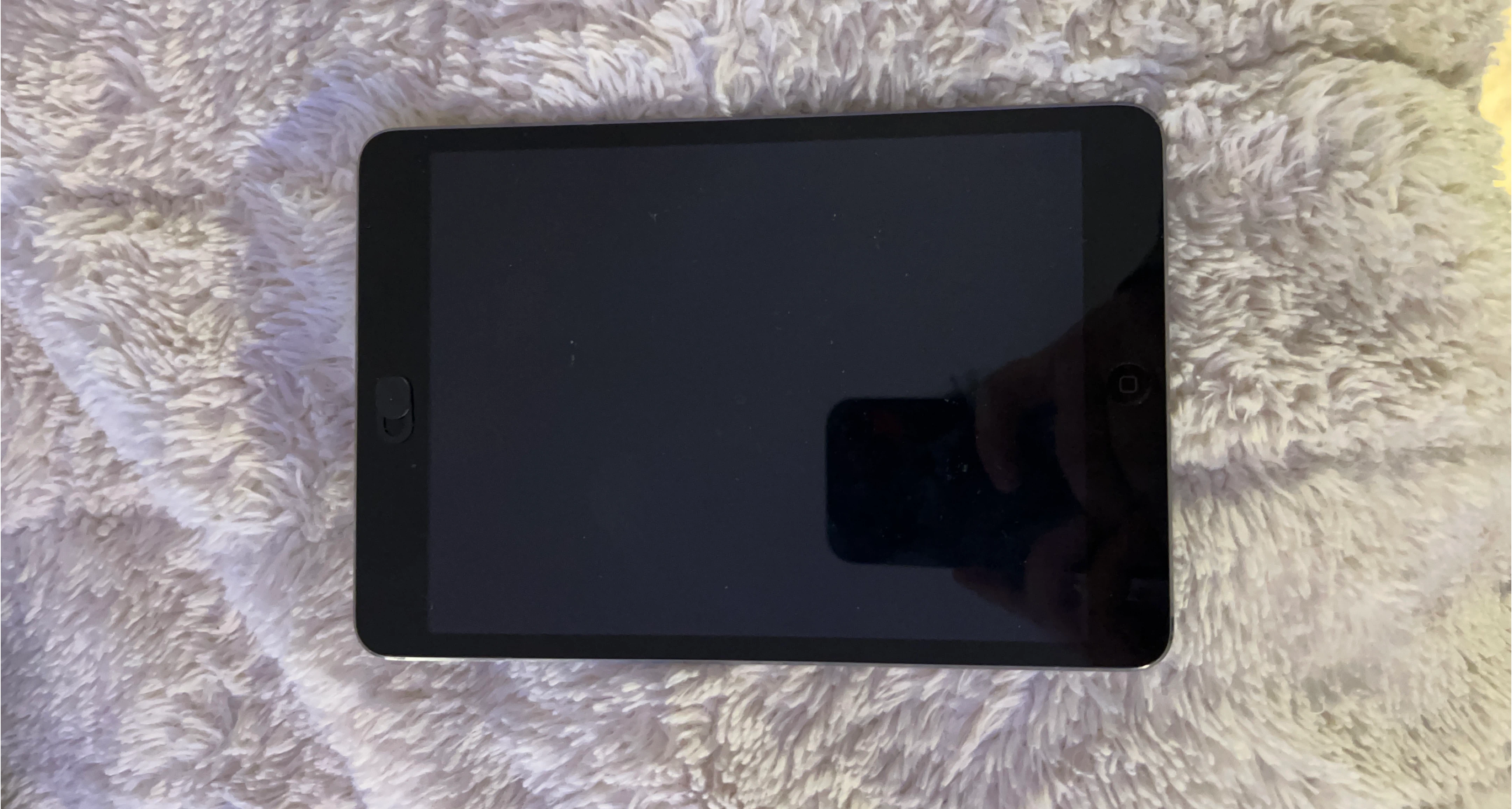 Apple iPad Mini